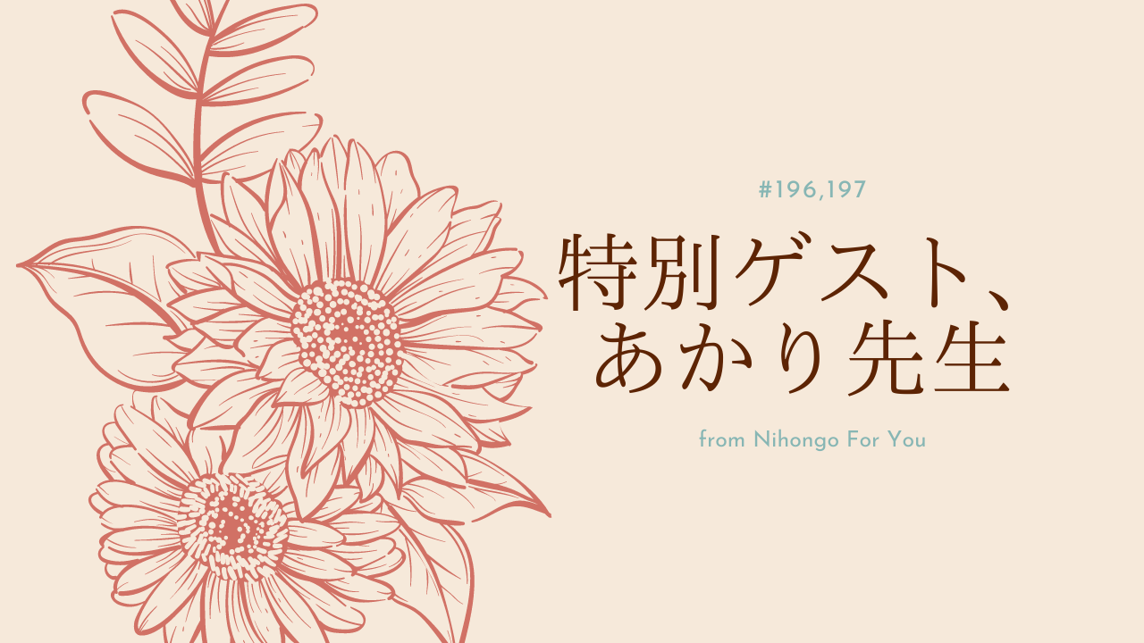 196.197.特別ゲスト、あかり先生 