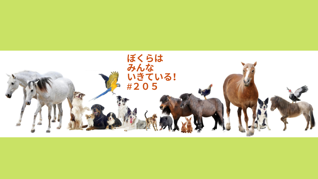 205.みんな生きてるんだ、友だちなんだ！