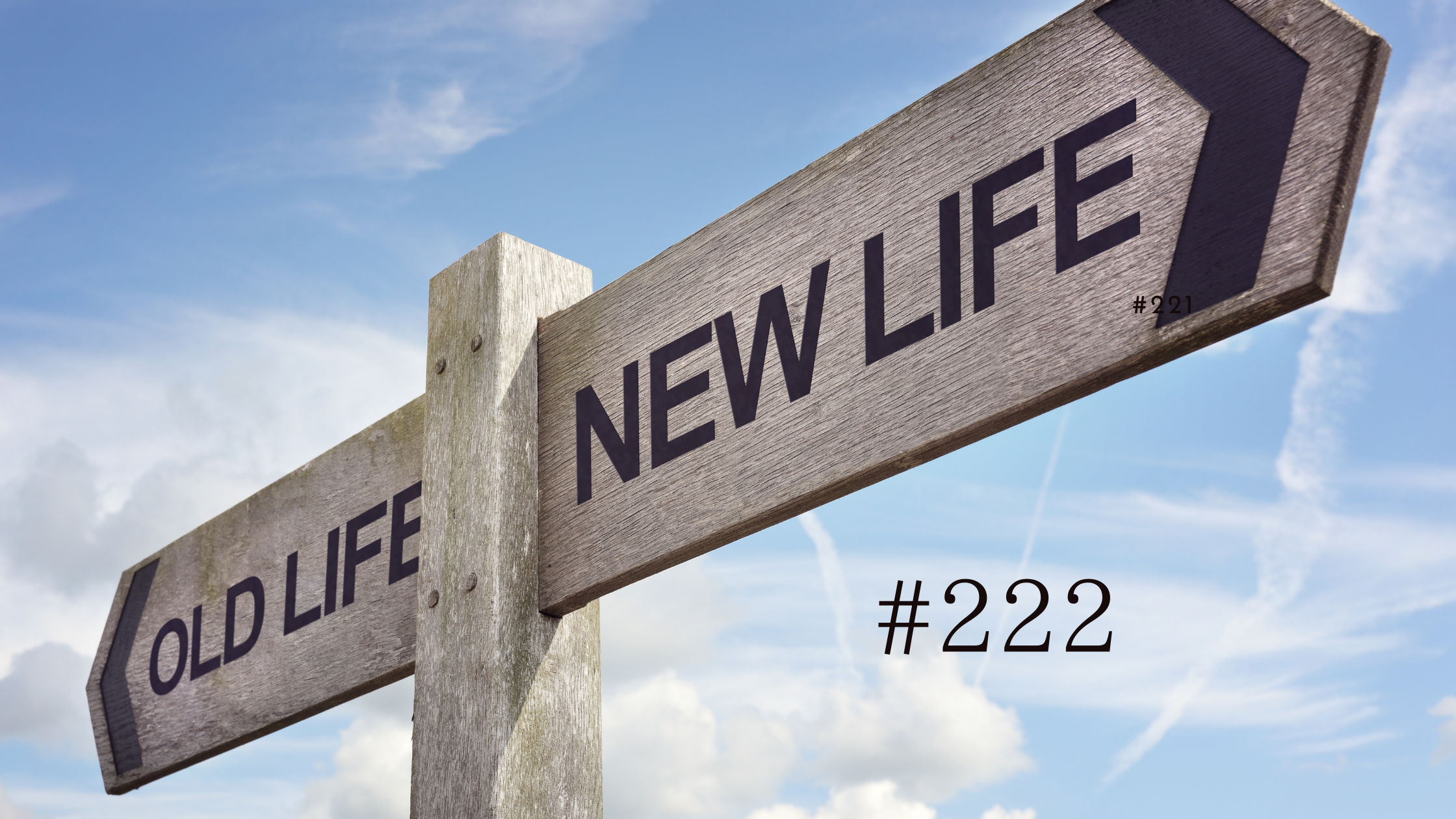 222.語学の勉強で人生が変わる