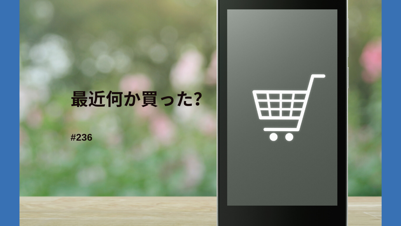 236. 最近何か買った？