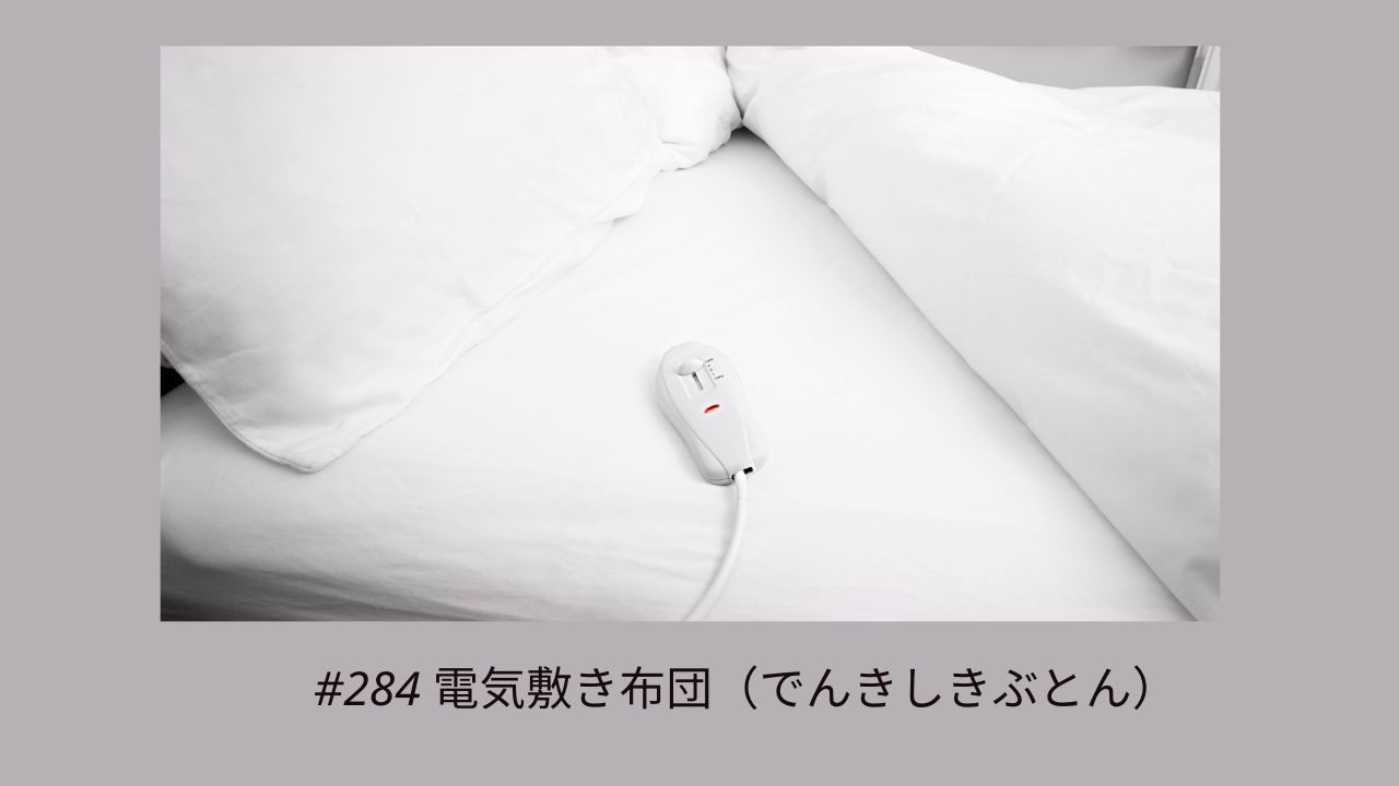 284. 電気敷き毛布を買いました！
