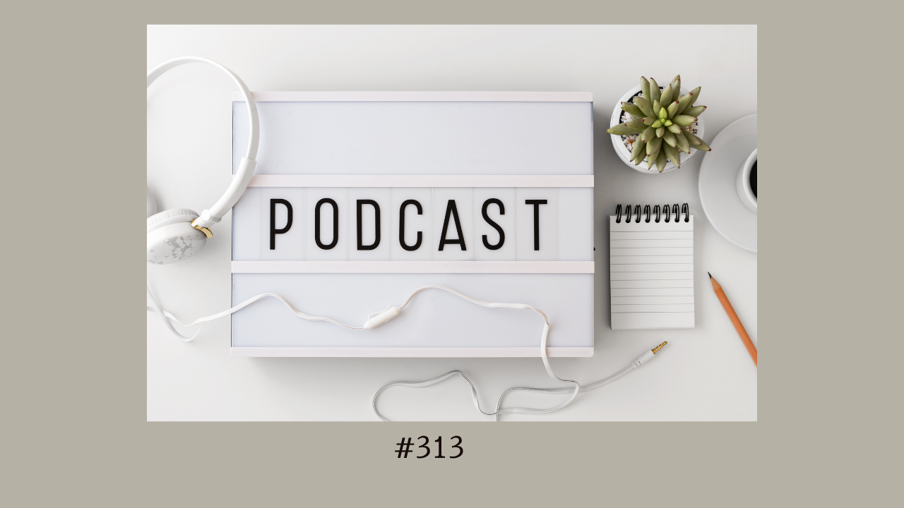 313. 私のポッドキャストを聞かなくてもいい