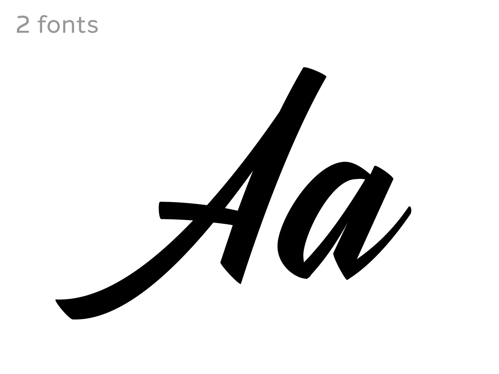 Stylenoir Script