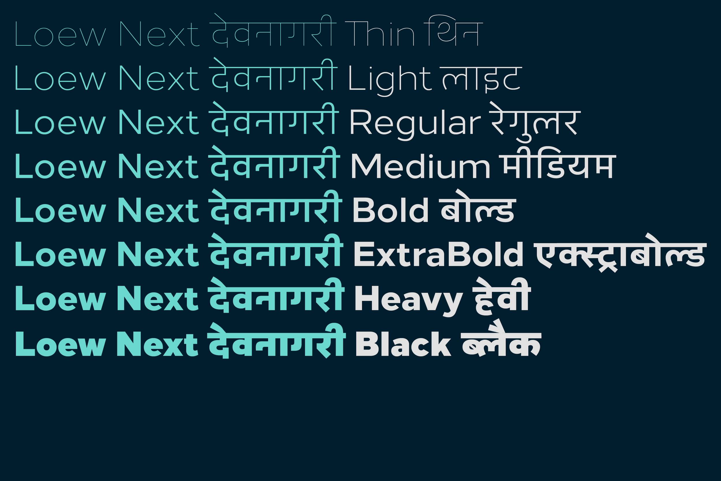 LoewNextDevanagari_5.png