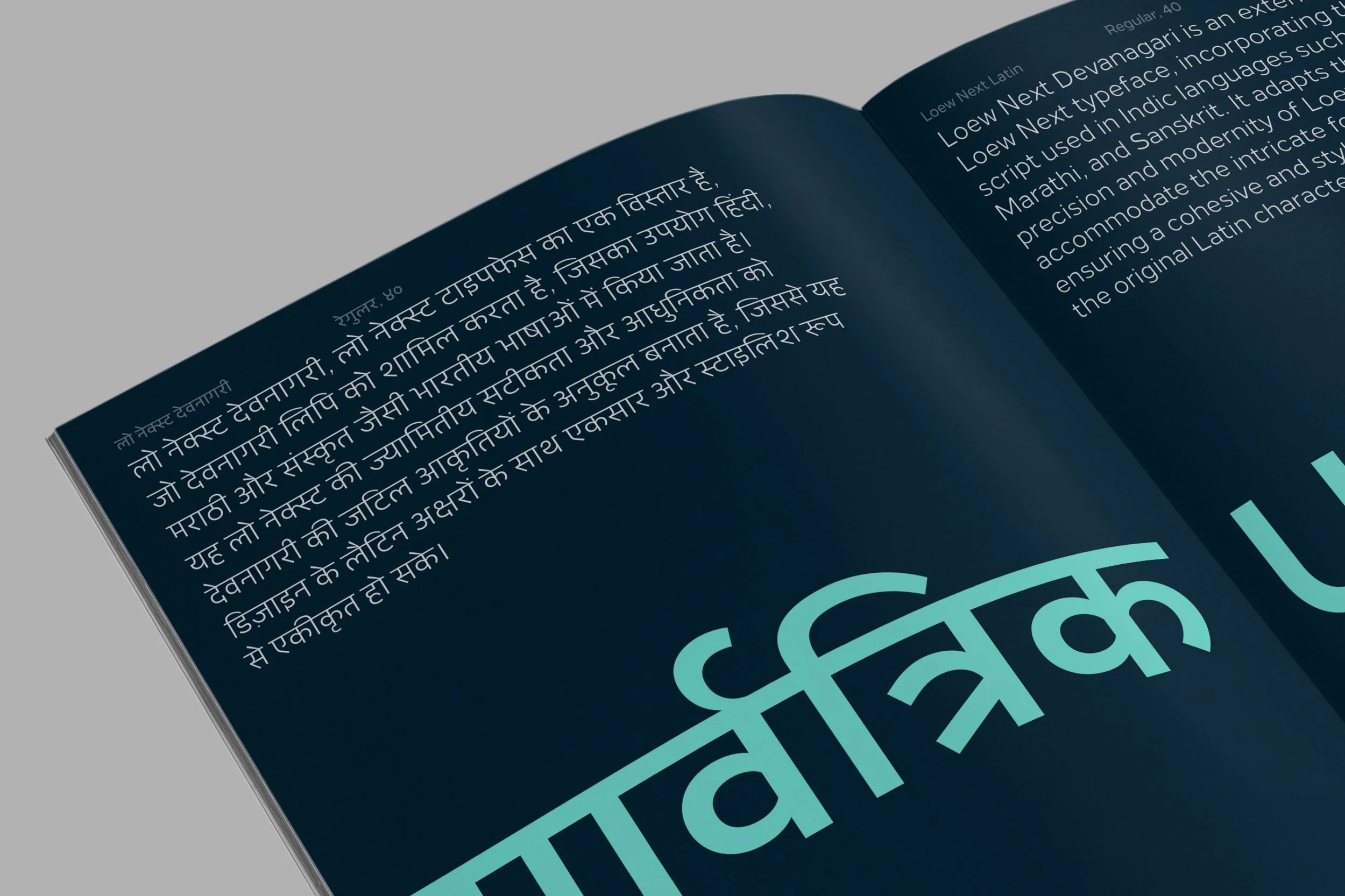 LoewNextDevanagari_6.jpg