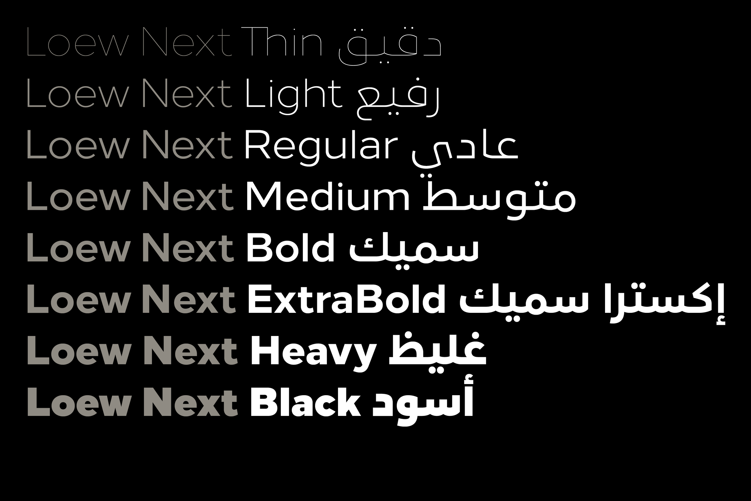 LoewNext-LoewNextArabic_2.png