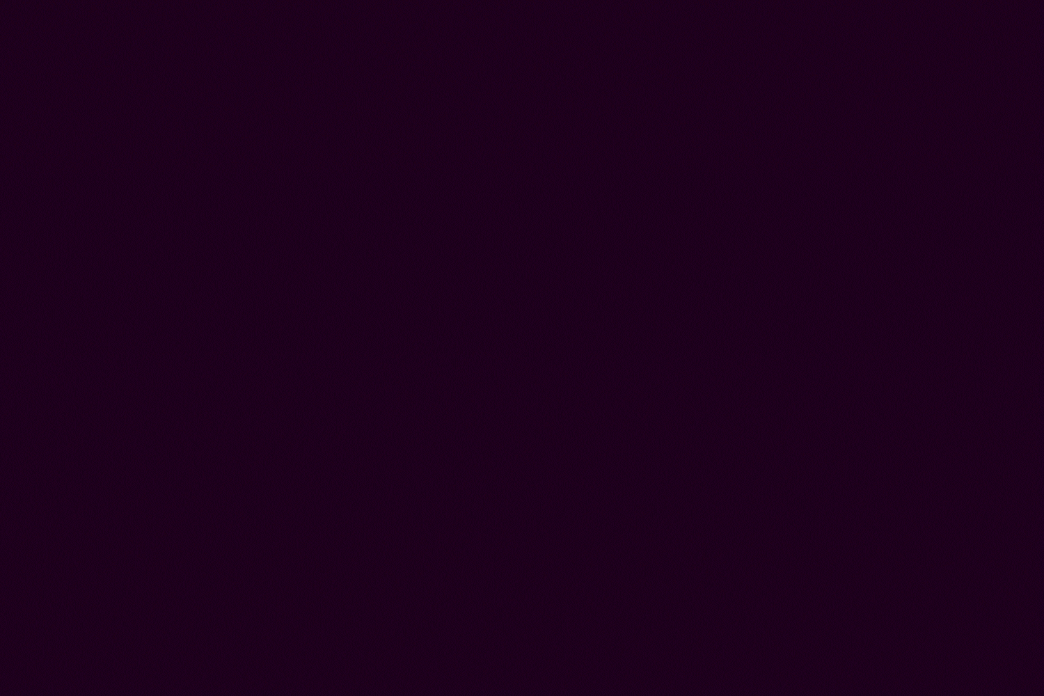 Leida_TNB_1_Optimised.gif