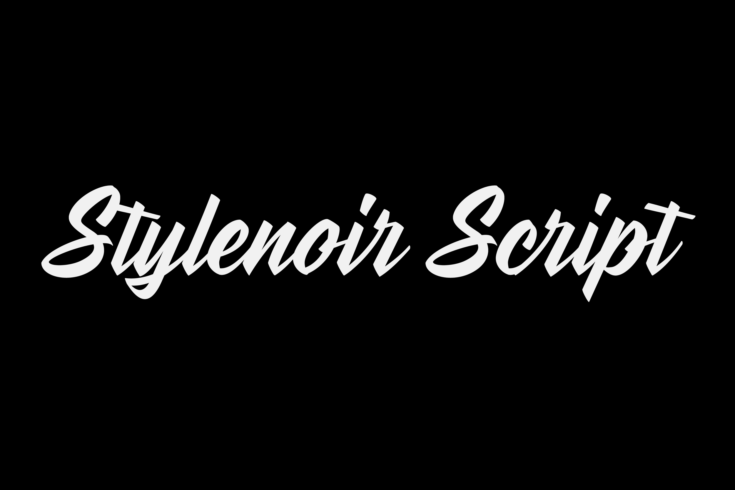 Stylenoir Script font by The Northern Block