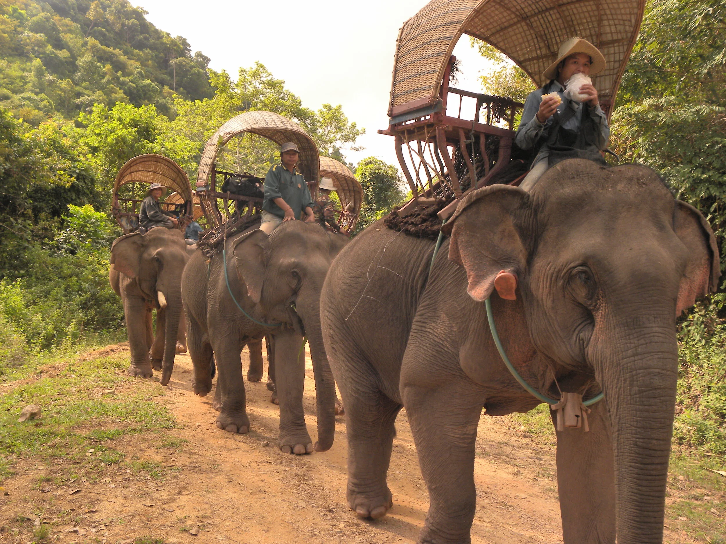 The elephant caravan