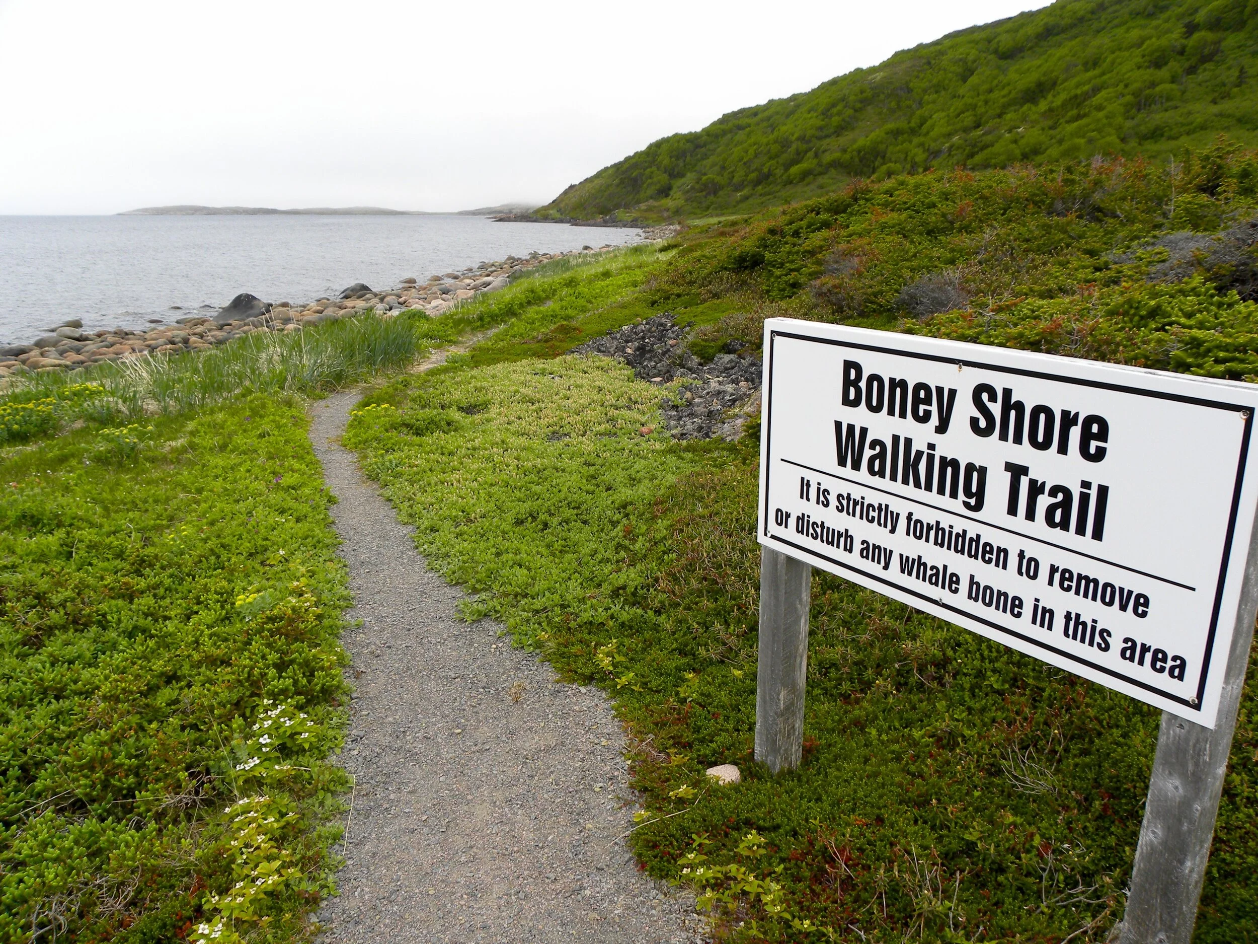 Red Bay: the Basque ‘Terranova’