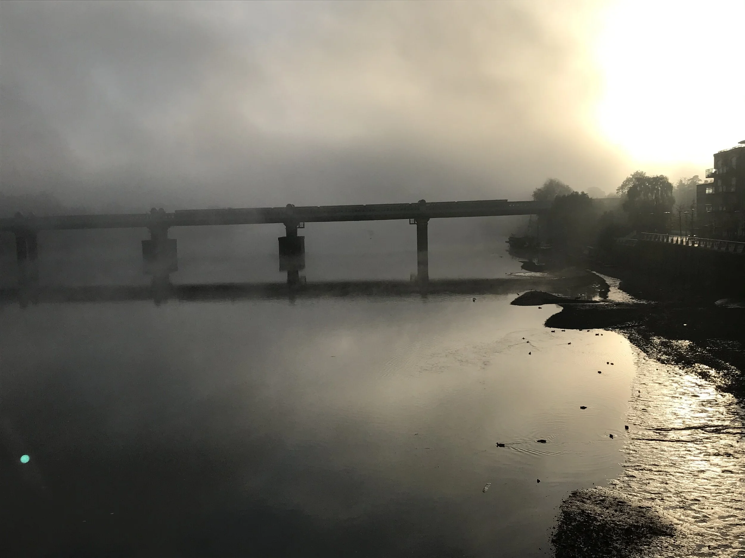 The life savers of Waterloo Bridge