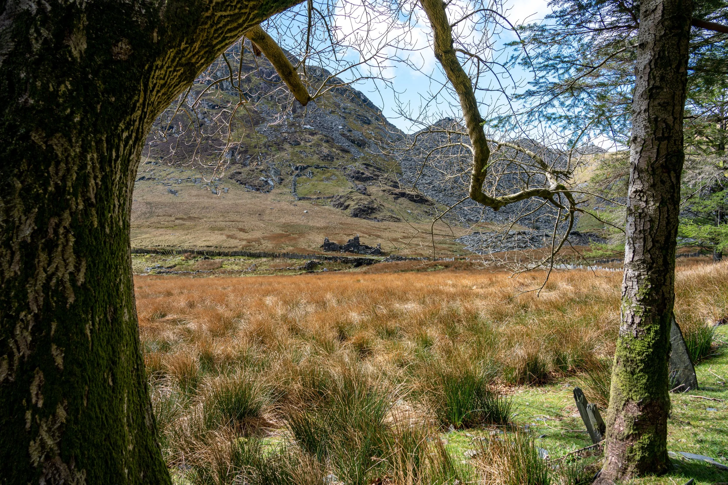Views of Cwmorthin slate quarry.