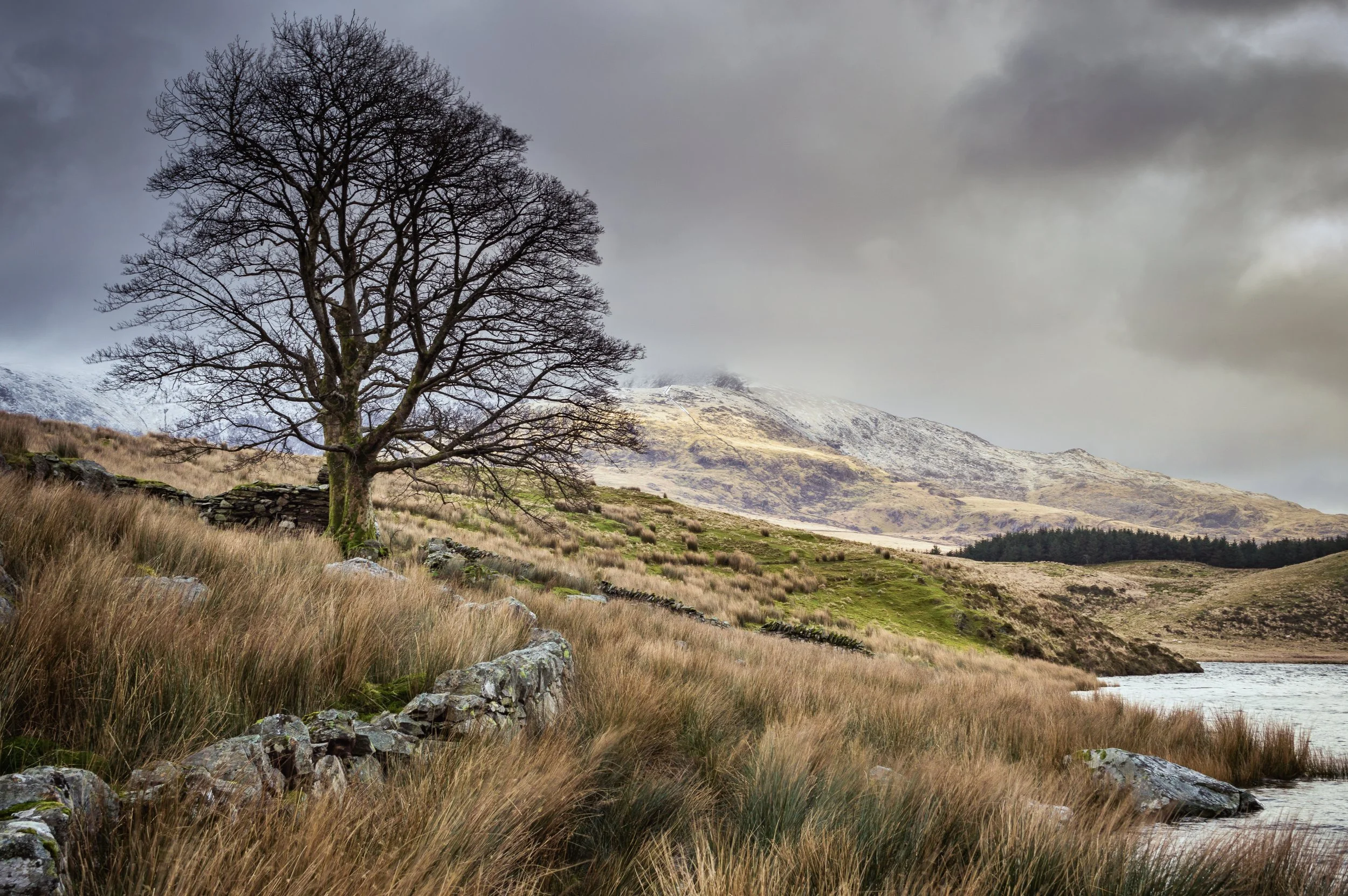 View of Yr Wyddfa from Llyn y Dywarchen.