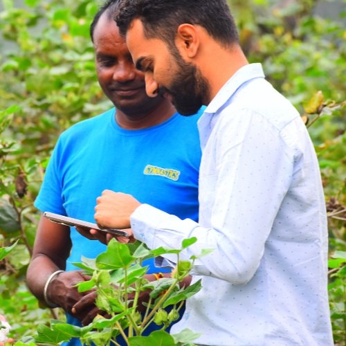 Two men standing in a lush green field, examining a clipboard together, with one holding a plant.