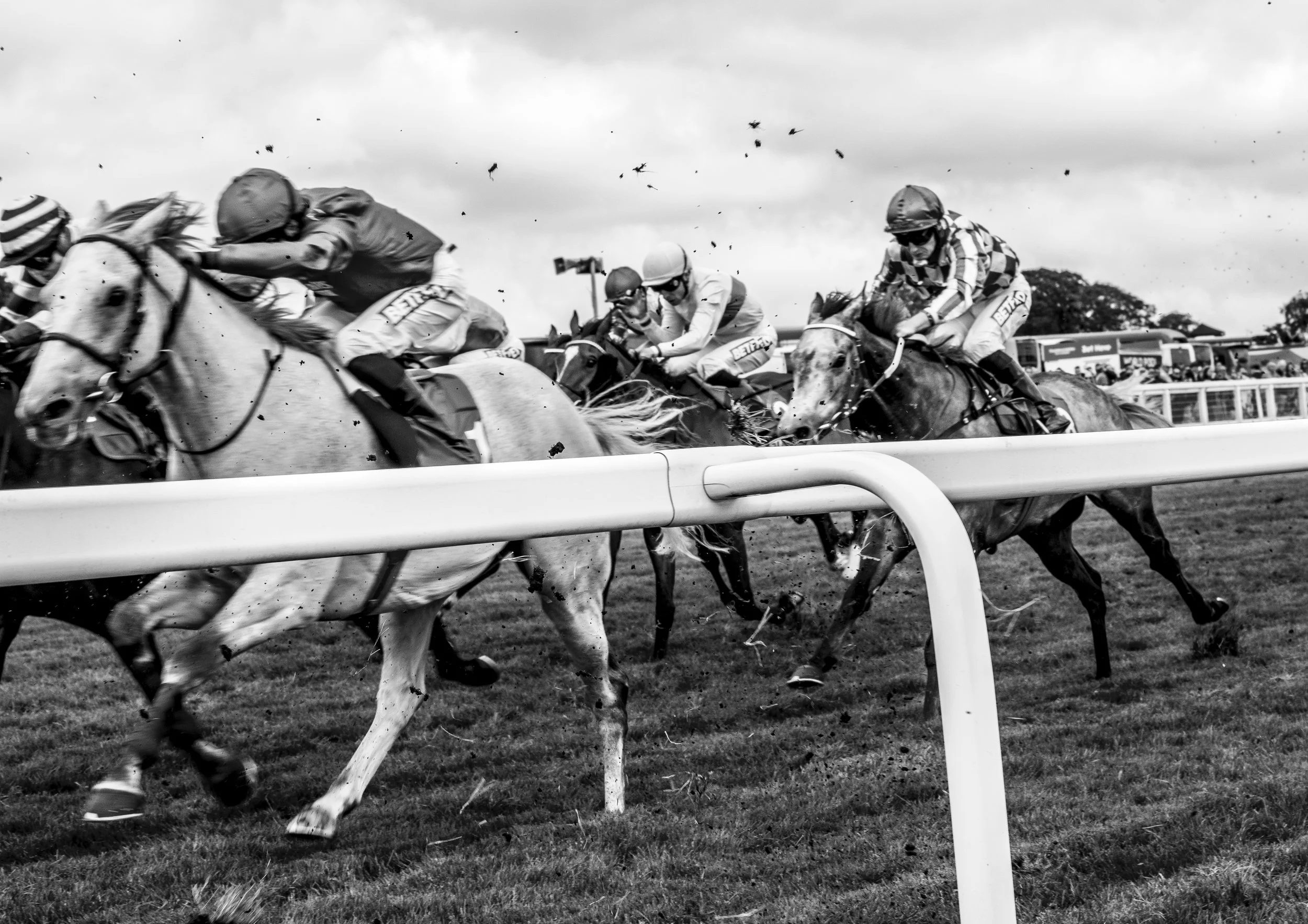 Epsom Derby Final-3577.jpg