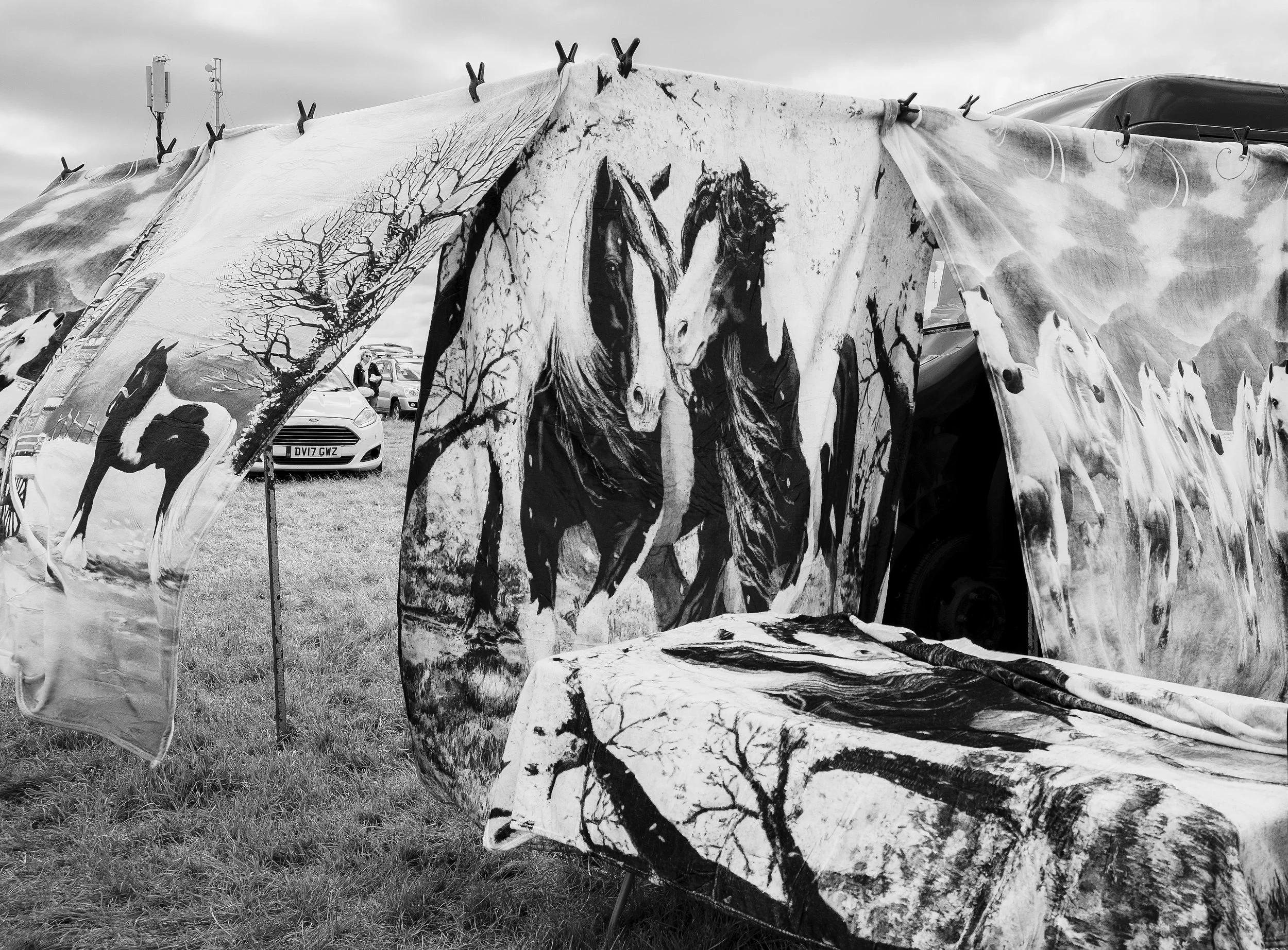 Epsom Derby Final-3634.jpg