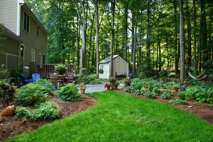 Native Shade Garden with Woodland Plants.jpg