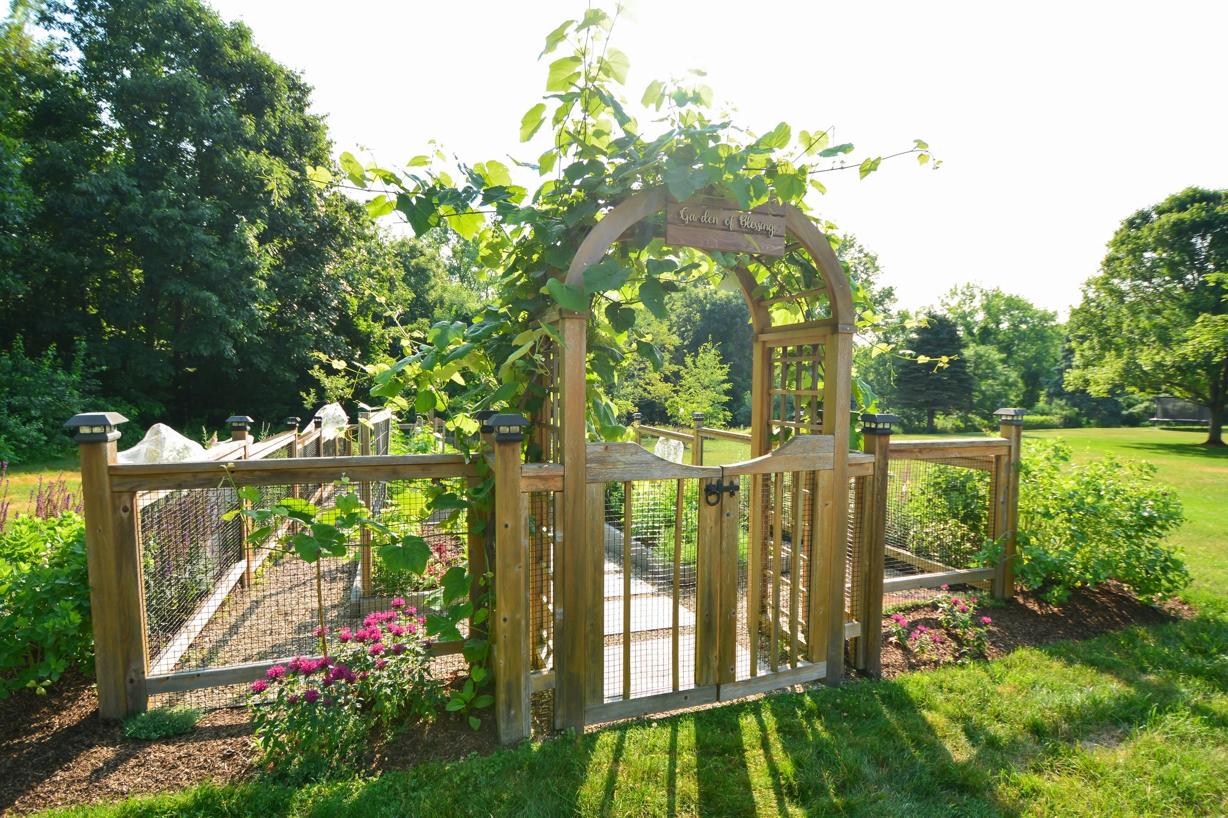 Reimagined Roots Custom Cedar Raised Garden Bed Portfolio | Central Massachusetts