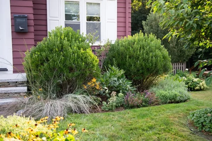 Native Front Yard Landscaping Ideas for Massachusetts Homes.jpg