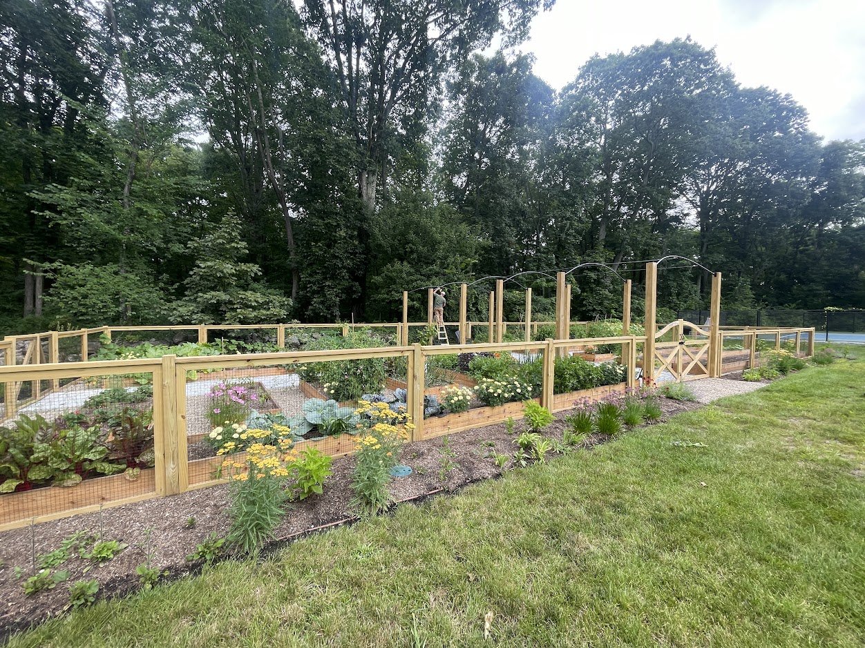Marcie Potager Garden Fence Raised Bed Archway.JPG