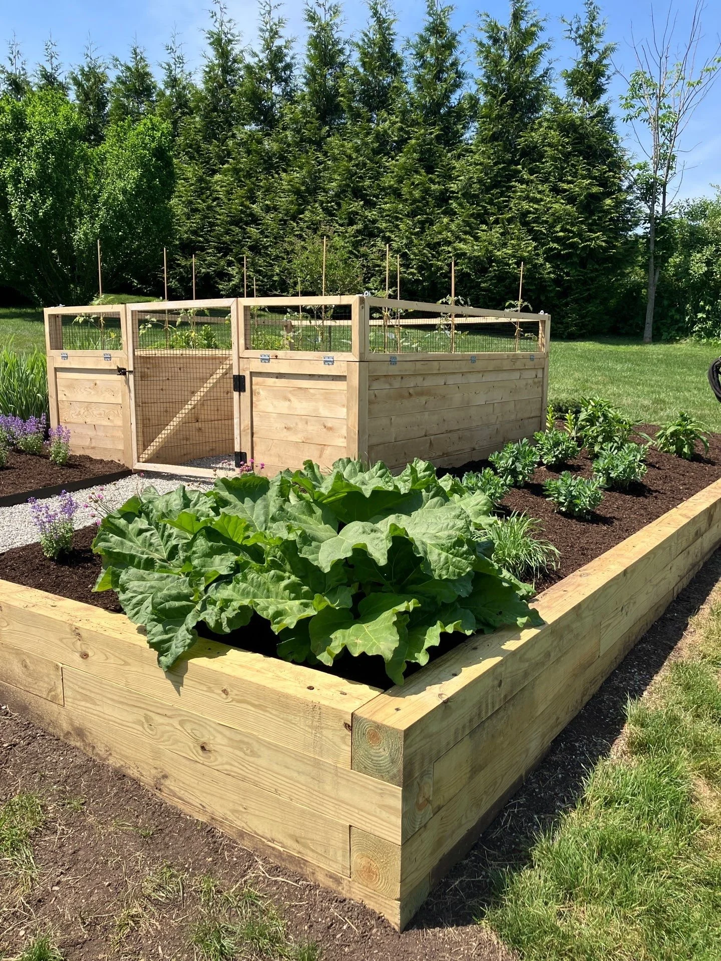 Raised bed timber retaining wall perennial garden.jpg