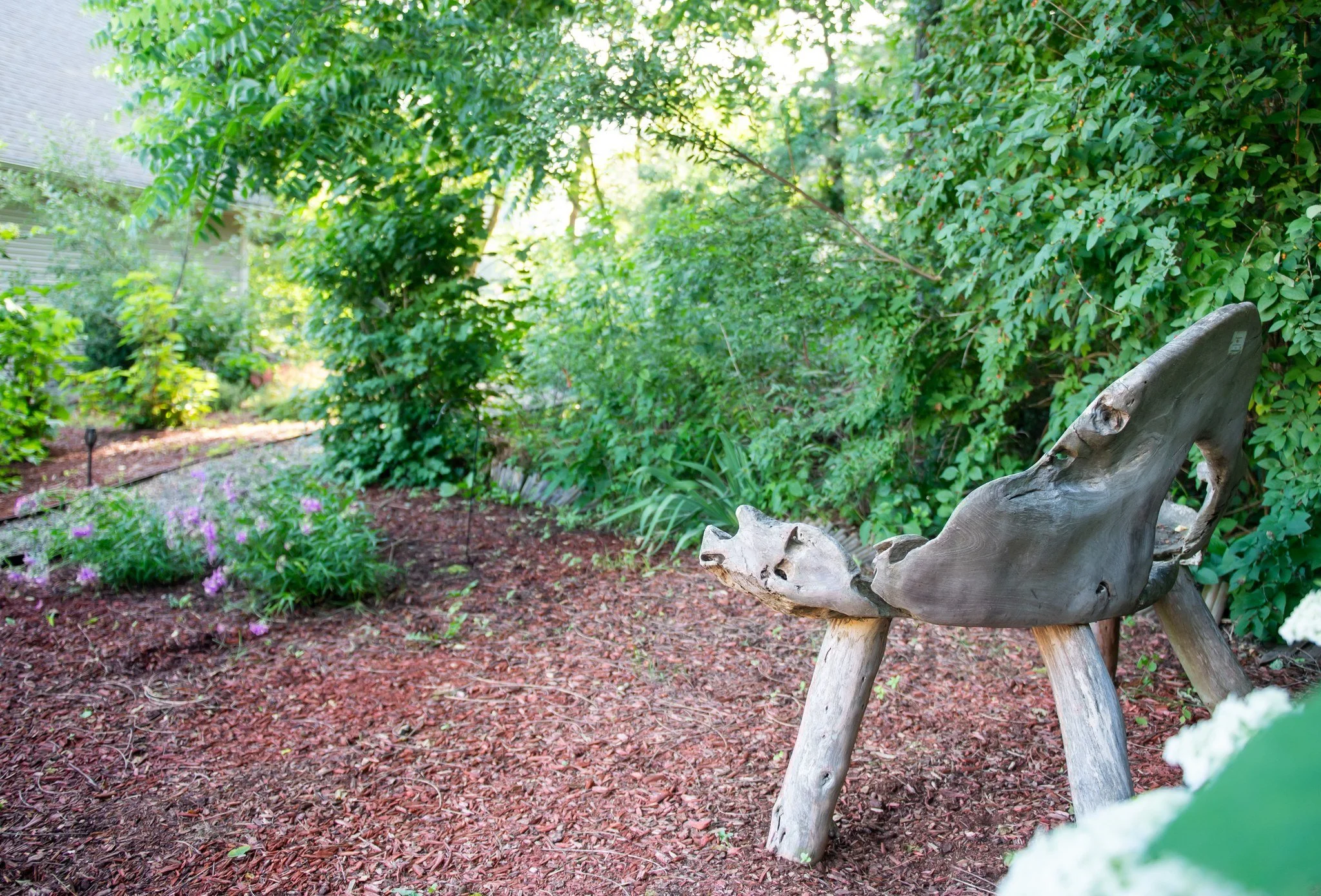 The Autumn Equinox is here! 🍂
It is that unbeatable time of year when colorful leaves inspire art, lakes are mosquito free, and bats flicker through the cooling dusk. A warm flannel, a crackling fire, and apple cider in hand feel just right. The li