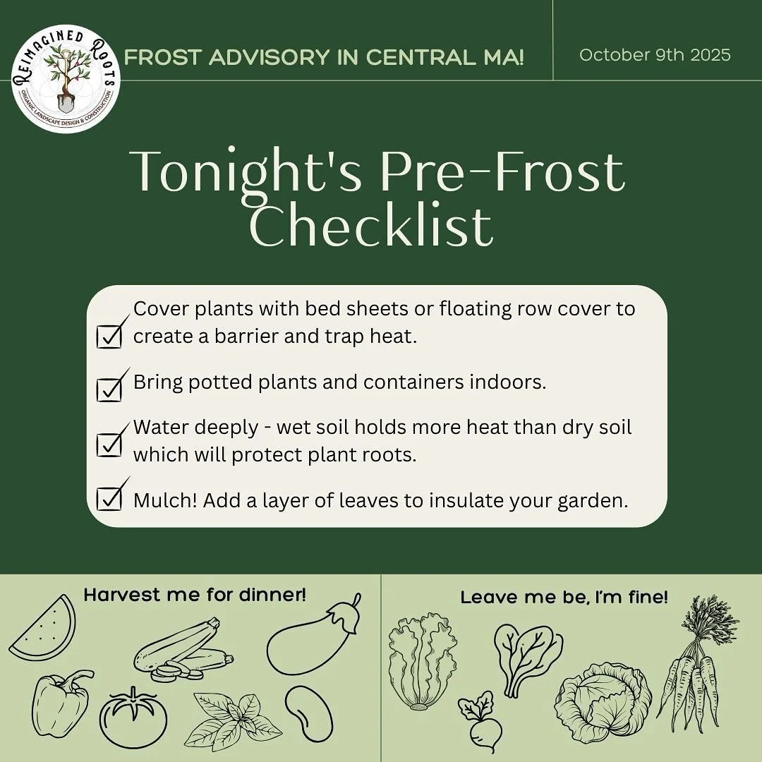 Clock out early and get to the garden - FIRST FROST TONIGHT!?
Harvest your tender annuals.
Chop and drop as you go - extra points when you leave roots in the ground!
Water well and protect whatever you want to leave out that may or may not thrive