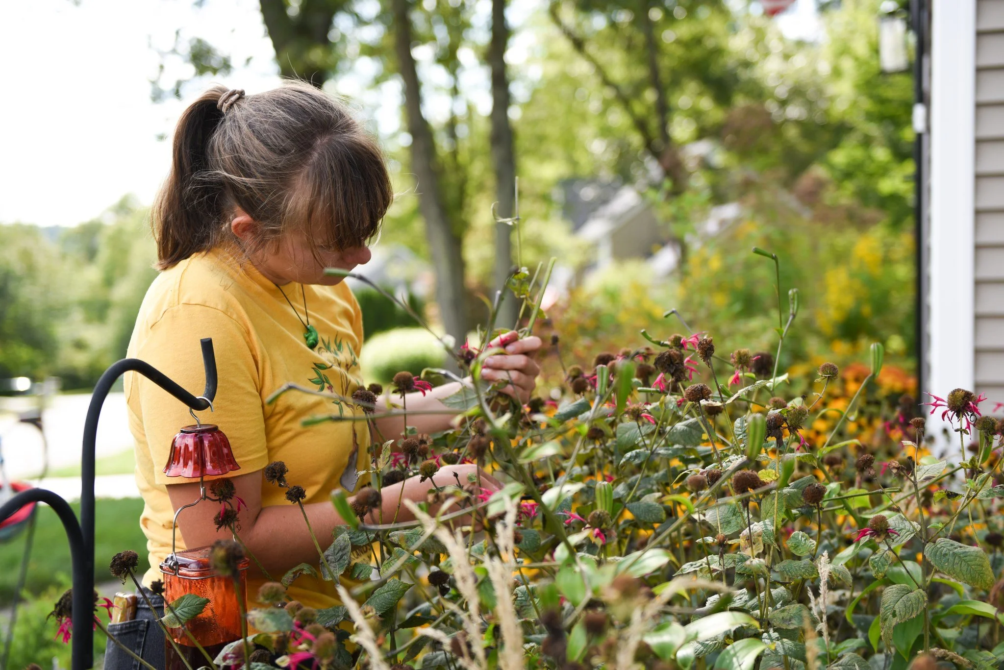 🍁 October Garden Guide
October invites us to slow down and care for what sustains us - the soil! 
🌿 Harvest what remains and leave seed heads for birds and pollinators
🧄 Plant garlic and bulbs for next spring
🌳 Mulch, water deeply, and feed the