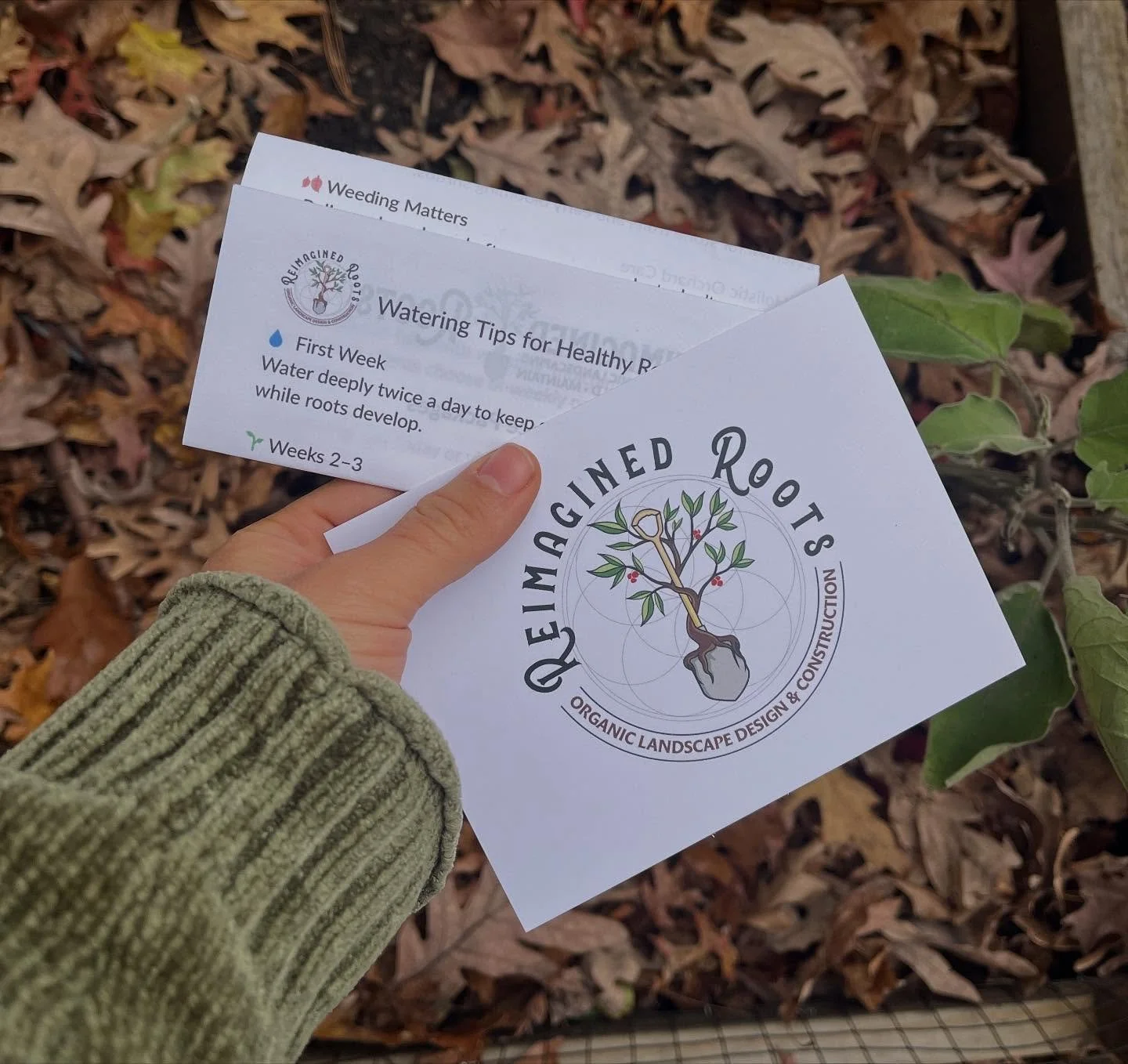 WE (you, me, the birds and the bees) are the gardeners on this garden planet, and don&rsquo;t you forget it! 

With a little education and a lot of gratitude, you wake up every day with the opportunity to do something MORE than mow for the health of 