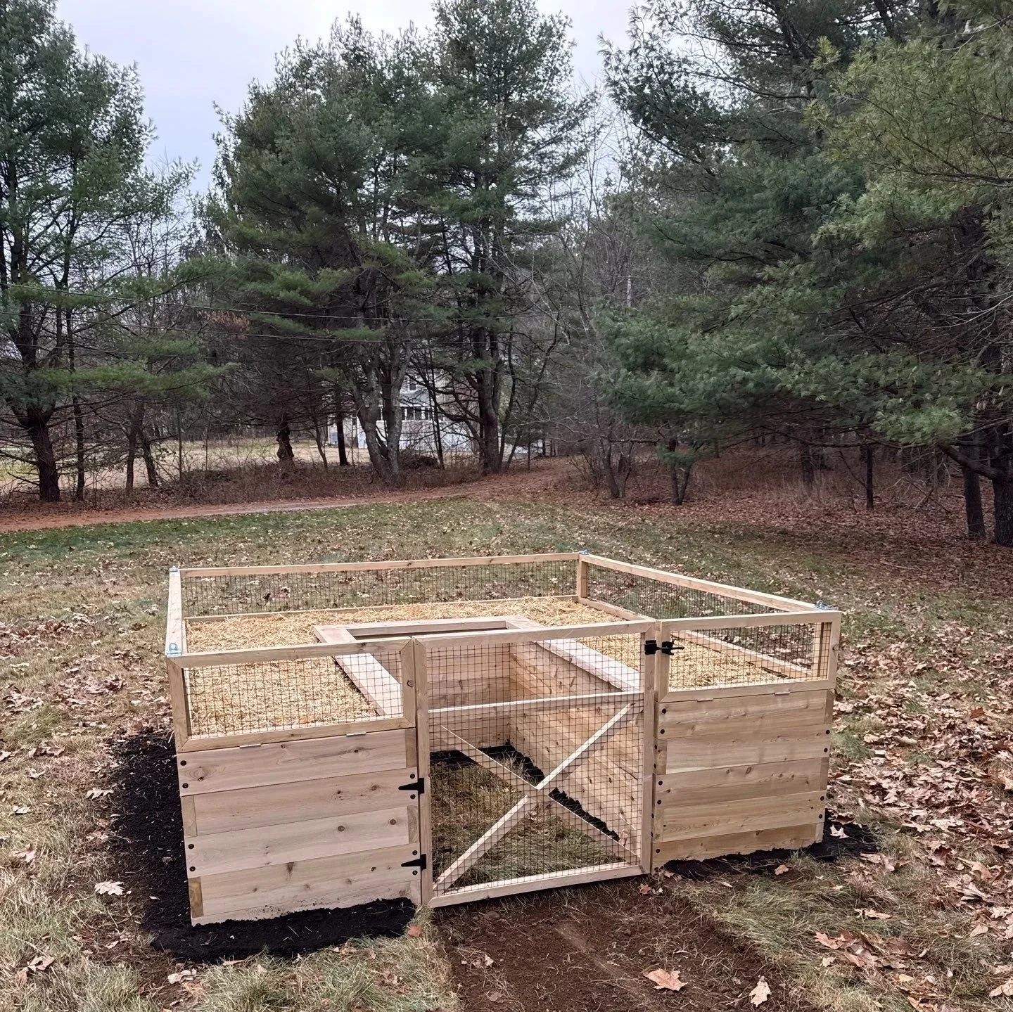 Winter Garden Planning: What the Best Gardeners do Differently