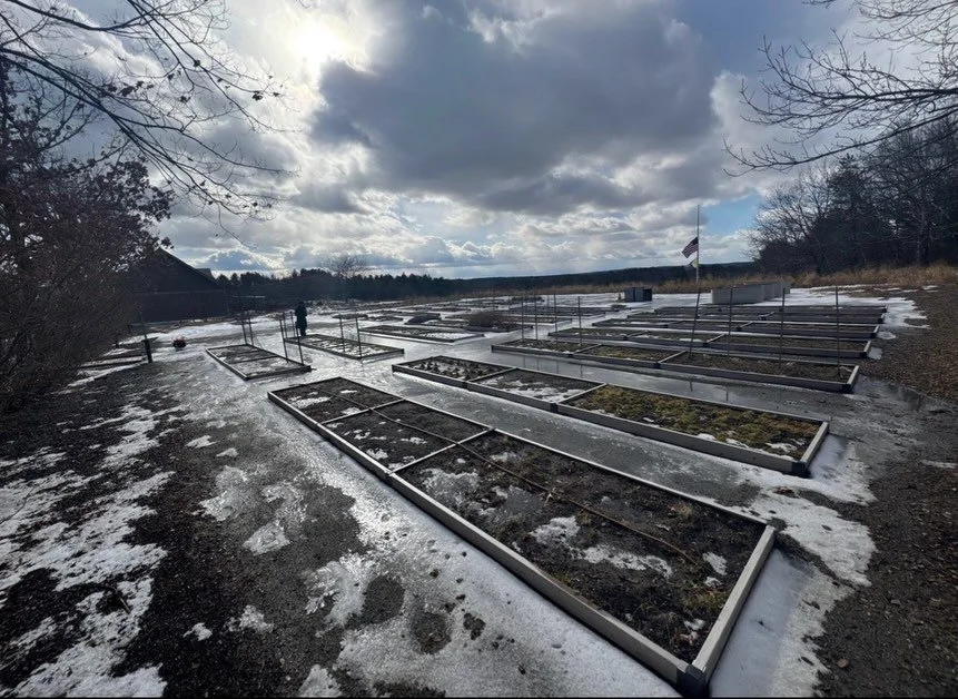 In winter, doing nothing in the garden is often fine. Knowing when that changes is what matters.

In Massachusetts, it&rsquo;s reasonable to assume the ground is frozen solid through most of January and February. When soil is fully frozen, compaction