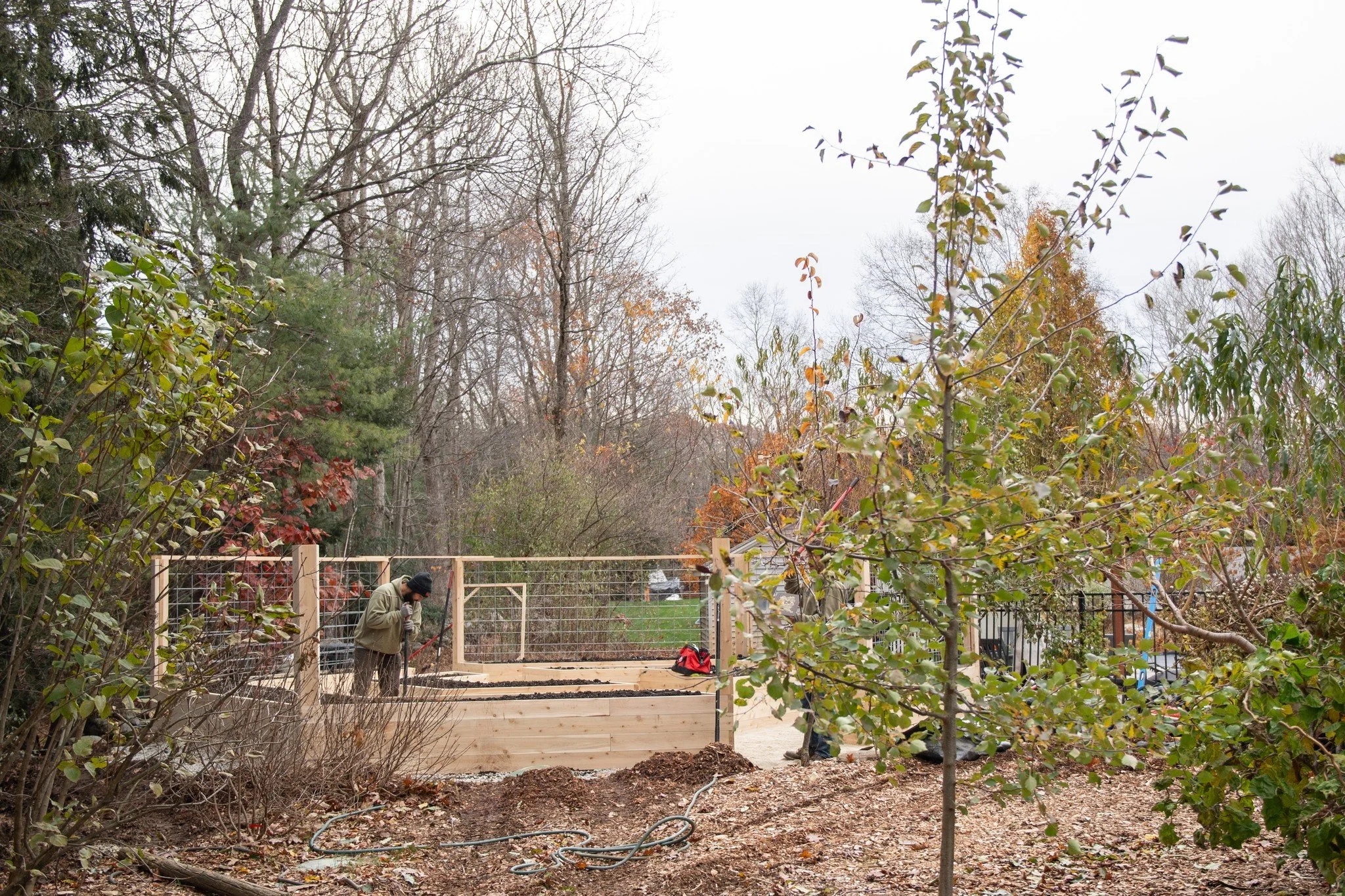 What do I do in the garden in January?

If you are looking out at your garden right now wondering what actually matters this month, you are not alone.

January is quiet, but it is not empty.

This is the time to observe how water and snow move throug