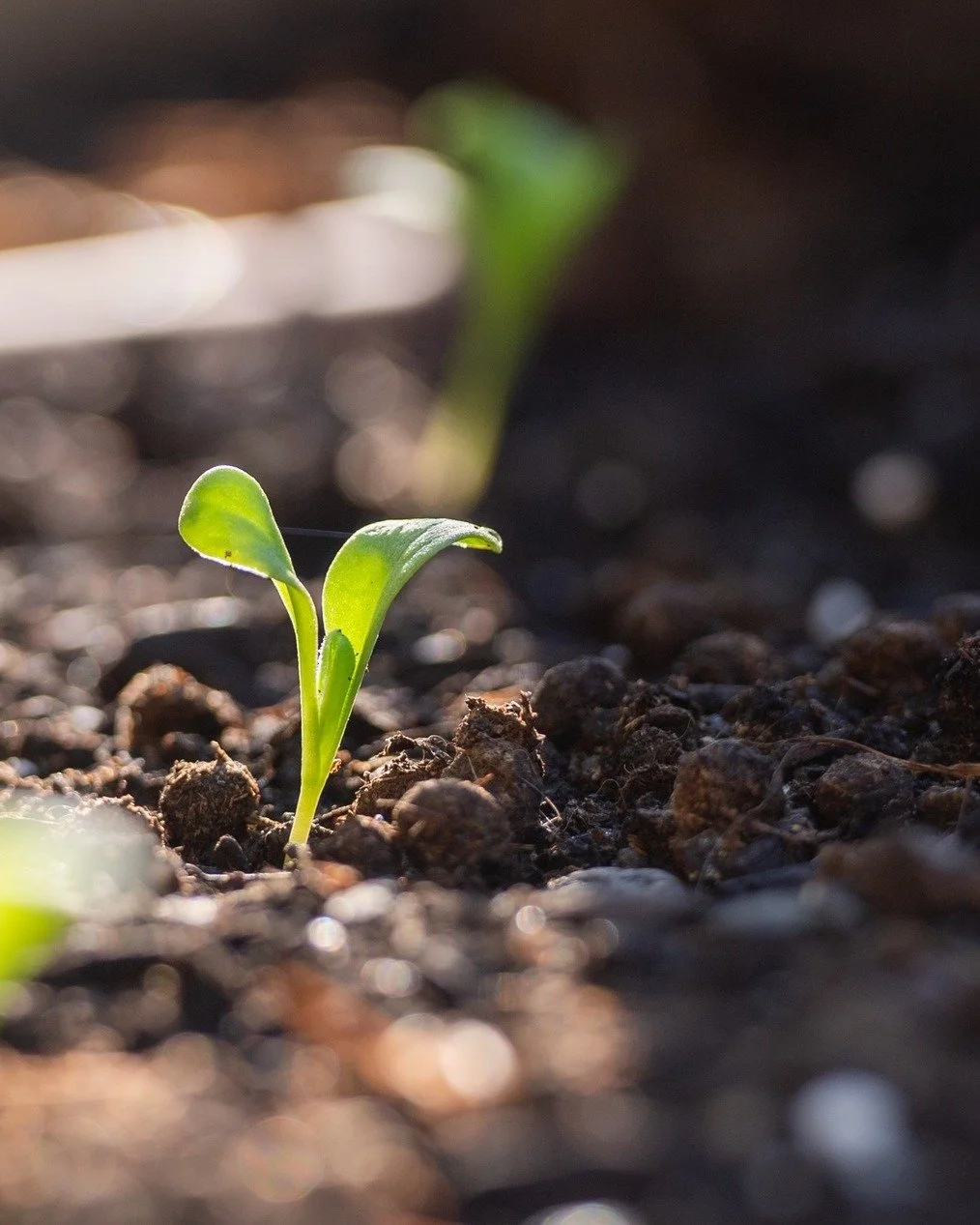 I'm not interested in sitting alone, scrolling, with cold idle hands. 

We're operating in a landscape that appears to be increasingly divided, fear based and isolationist. We are surrounded by images &amp; stories of grief and pain. They are true, b