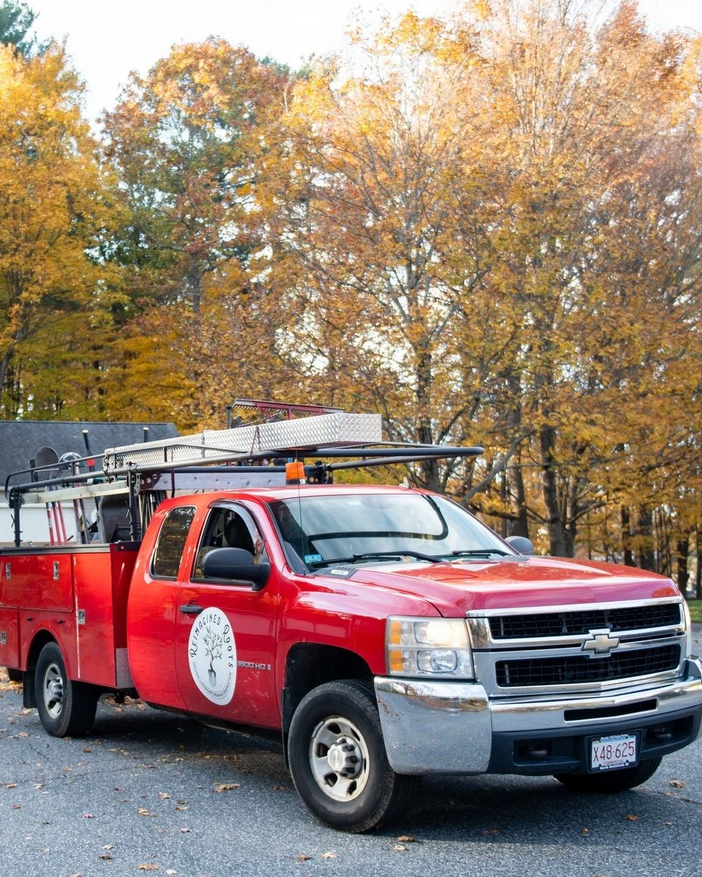 Maintenance is static. Stewardship is dynamic.

We've always taken the stewardship approach when we care for our landscapes - dividing plants, pruning for long term structure and goals, adjusting plant palettes to adapt to shifting soil and sun condi