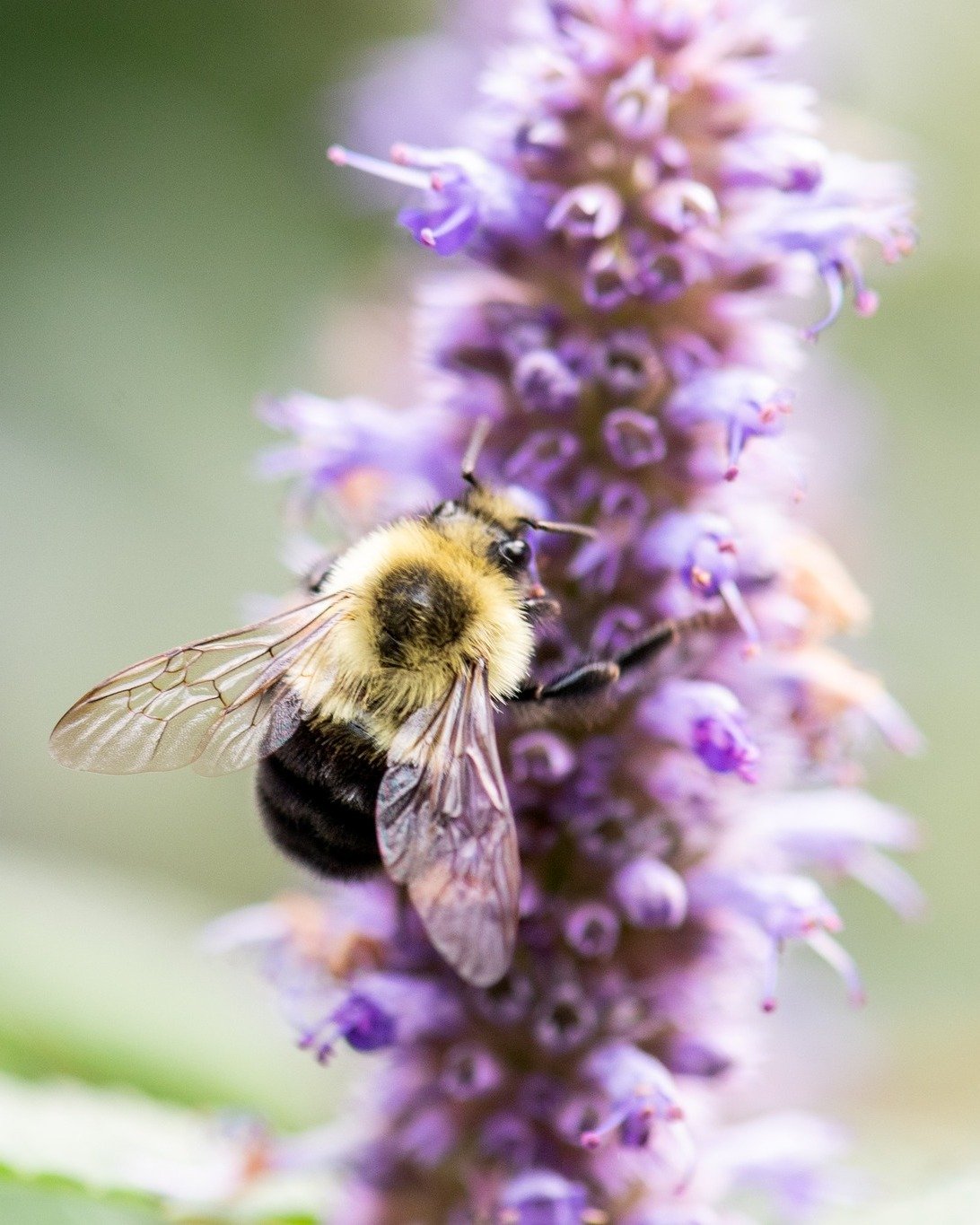 We're feelin' the love! 

For our clients who trust us with their land, for our crew who shows up with care and skill in every season, and for the way we get to spend our work-days! Building healthy, resilient landscapes is a privilege we don&rsquo;t