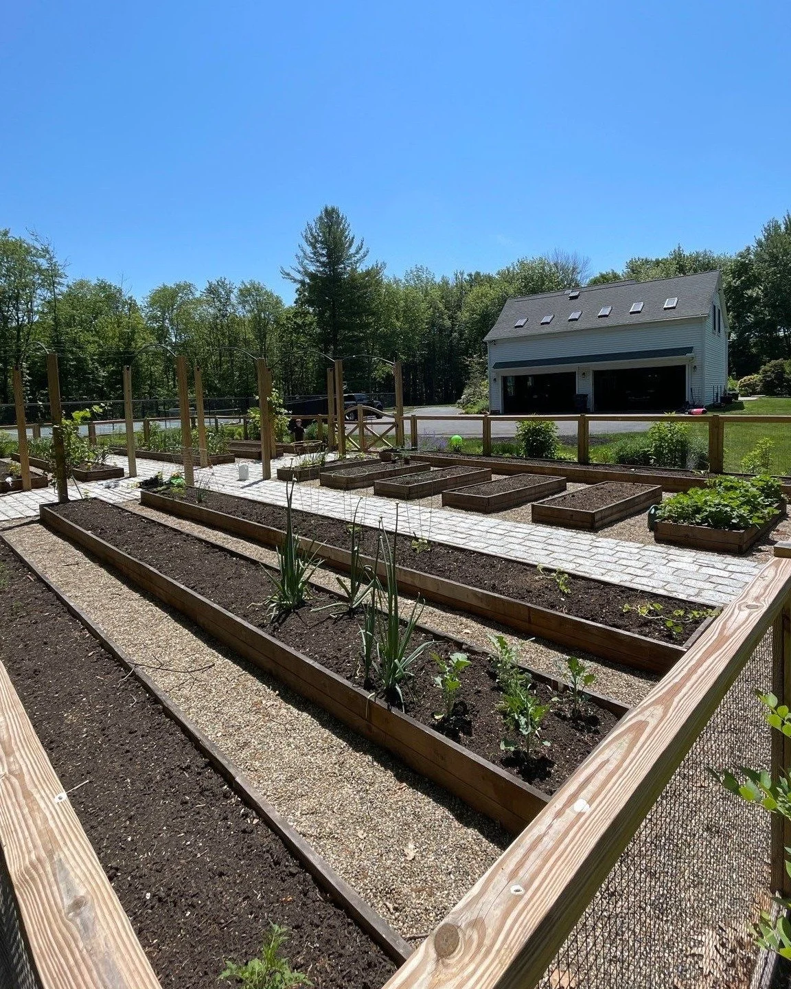 *Scene: Late winter. Snow on the ground. Seed catalogs on the kitchen table*

Me: &ldquo;Rumor has it you&rsquo;re waiting to plant your veggies in July?! Is that true?!&rdquo;

You: &ldquo;What?! No! I always wish I&rsquo;d planted sooner, but time 