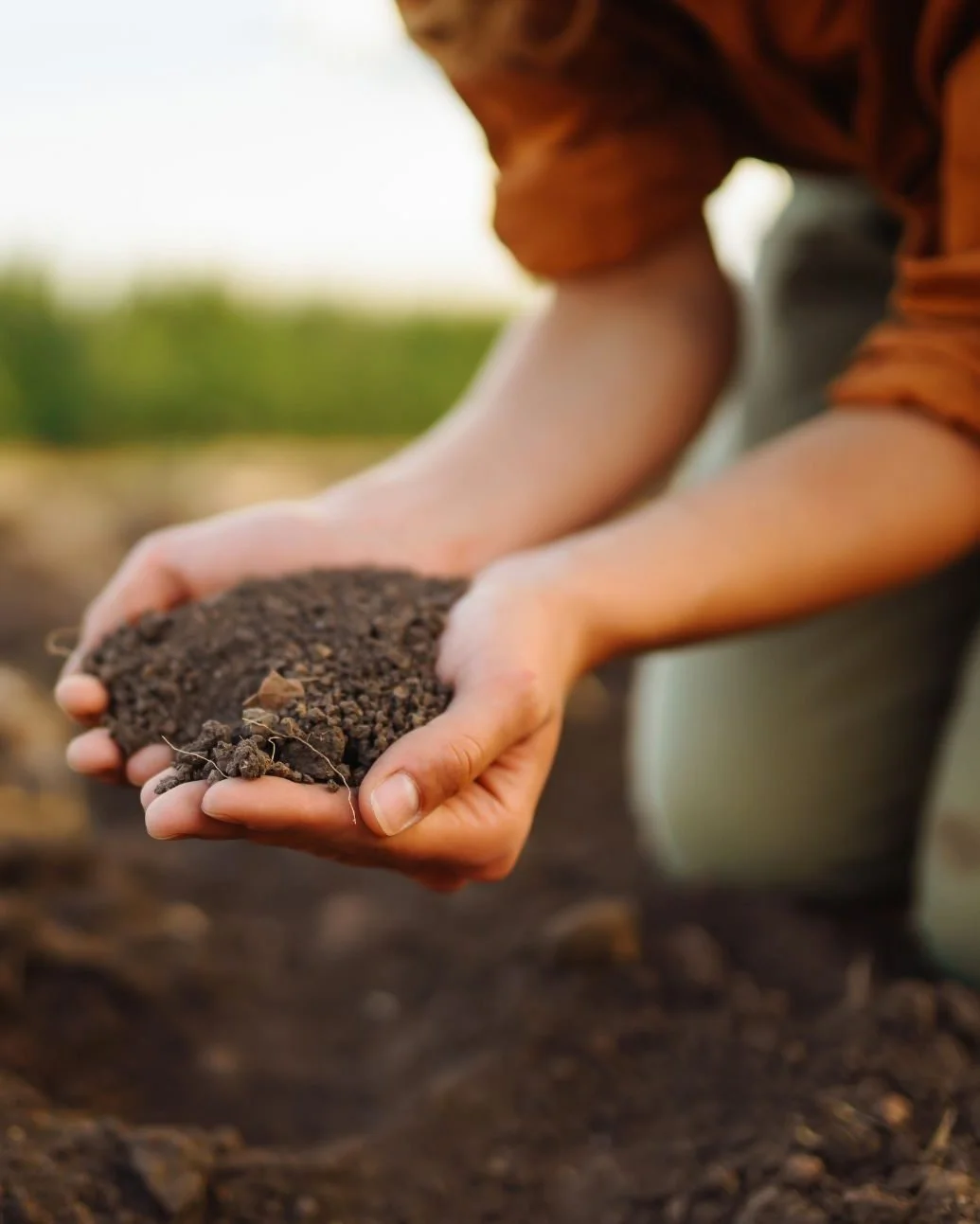 This year's NOFA Winter Conference @nofamass was all about soil. As it should be!
Soil is the source of all life. The healthier the soil, the healthier the people are that interact with it.

There are more organisms in one teaspoon of soil than there