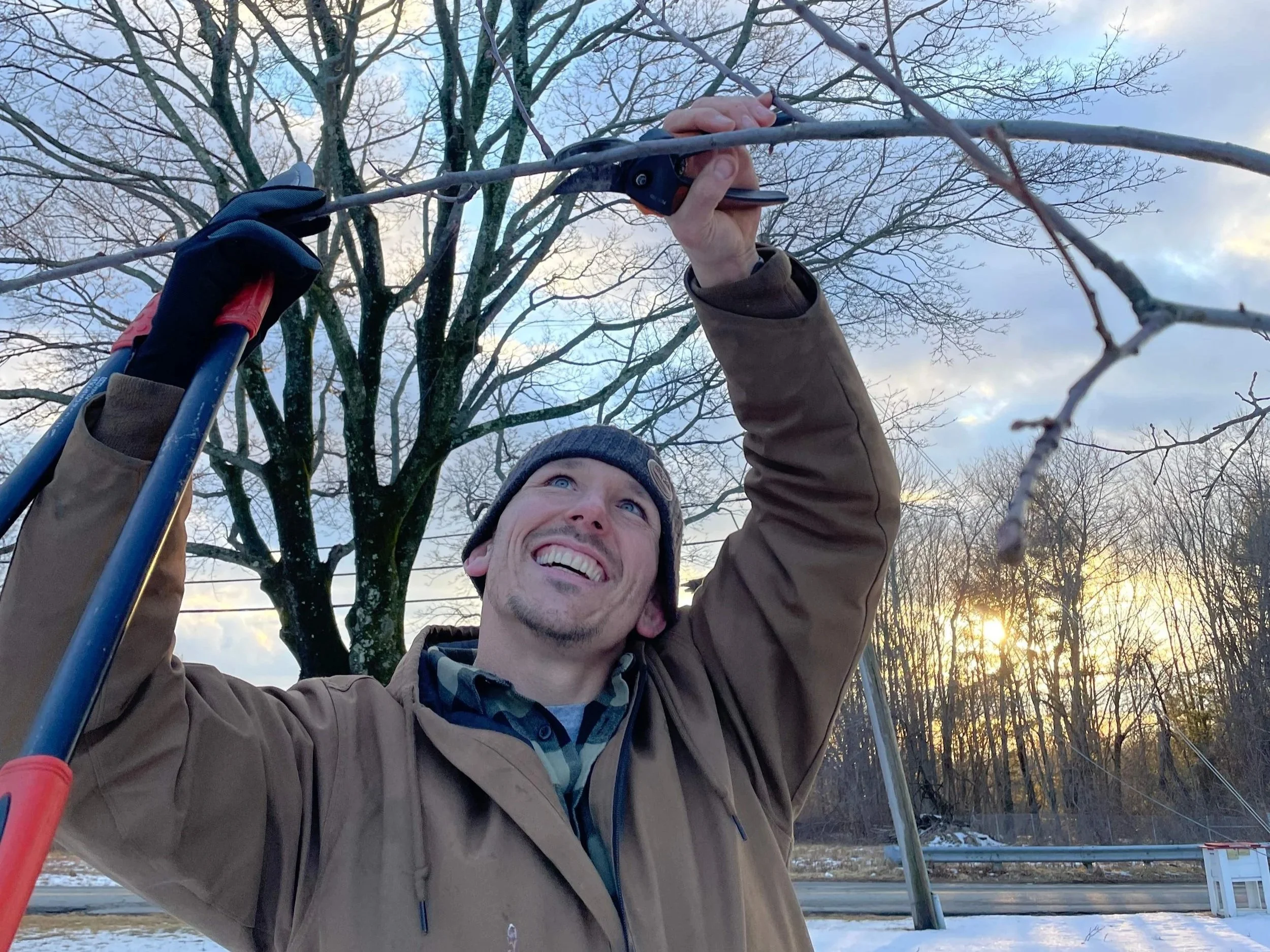 What do I do in the garden in March?