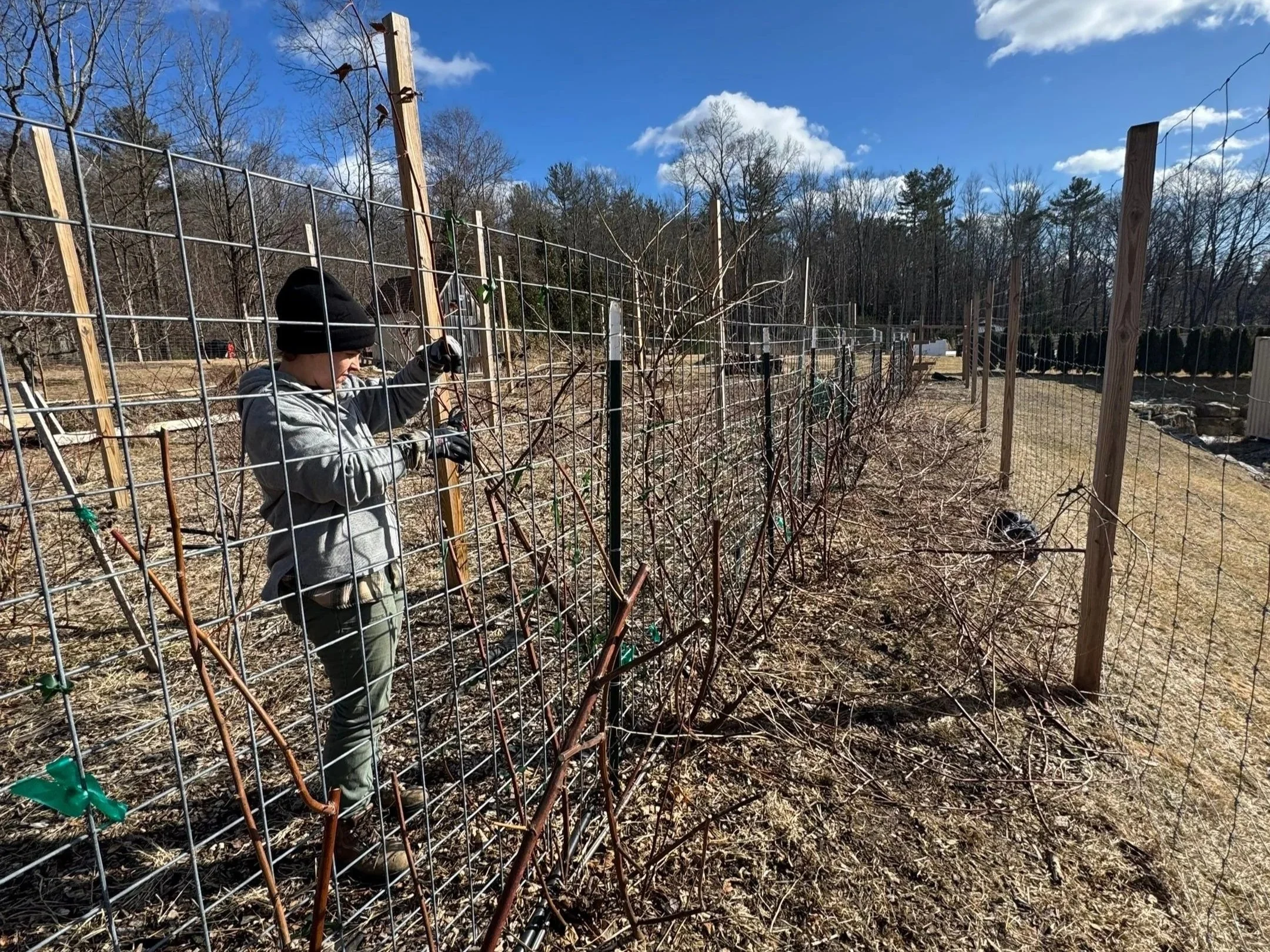 Purgatory? Or Precipice?!