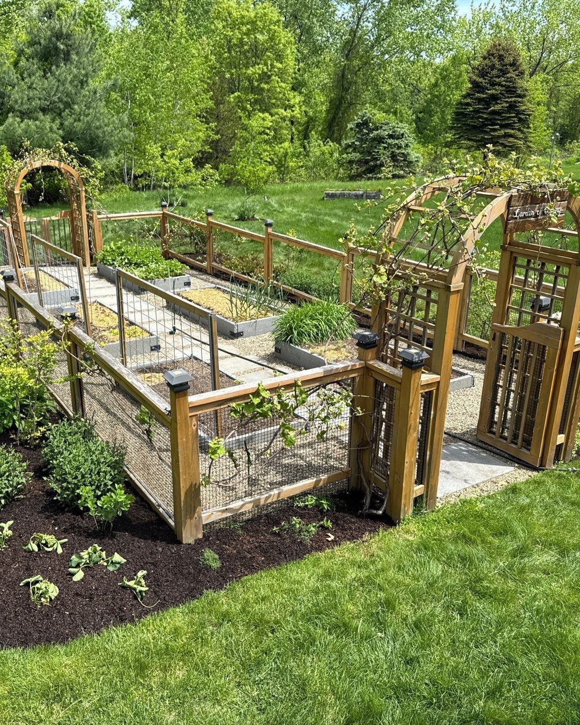Have you planned your veggie garden yet?
If you haven't, now would be the time.

Well planned gardens take less time to maintain, have larger harvests, and thrive with less pest pressure. 

To maximize and organize your veggie growing space, look int