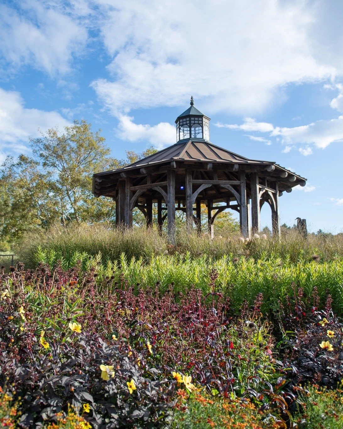 Planting resilience... What would your community look like if outside every door was an ecosystem buzzing with life and full of food and medicine? 

Come envision the possibility of a resilient future. It starts right outside your door.

Sign up with