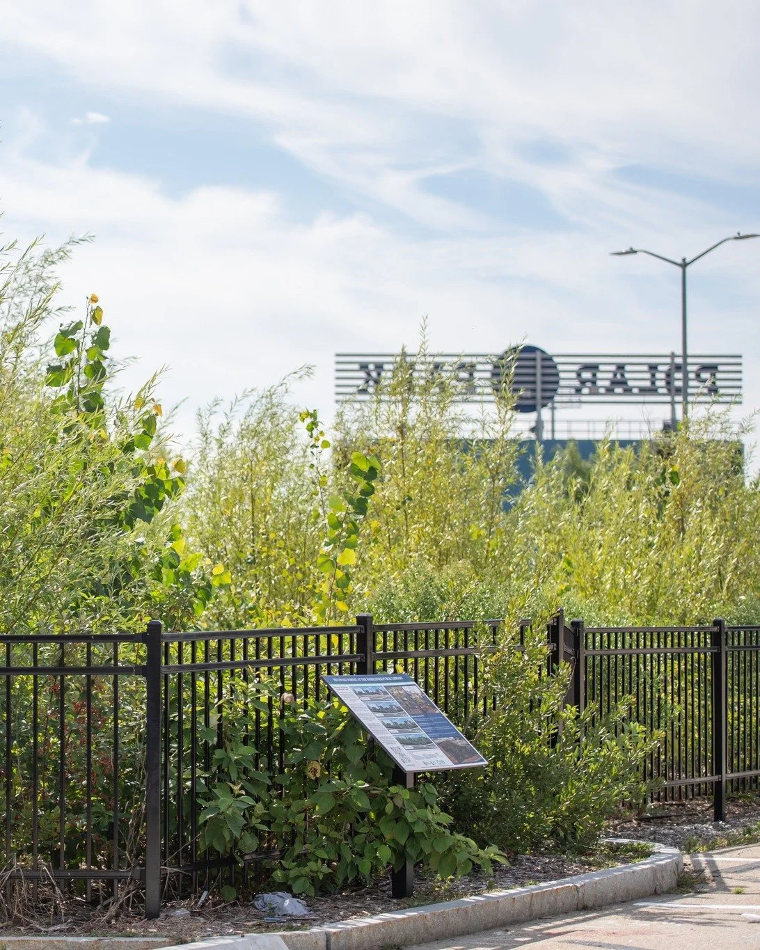 Have you been curious about what's happened in the Miyawaki Forests in the last year? We're thrilled to have cared for these spaces for the last year, and to be returning this year to continue to steward them.

Come to tonight's GWAC meeting to learn