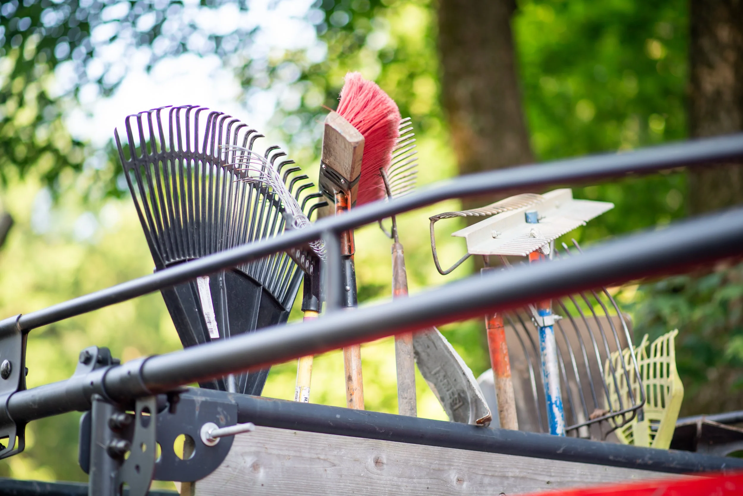 What do I do in the garden in April?