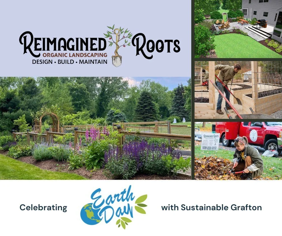 Celebrate Earth Day with us in Grafton at this community event hosted by Sustainable Grafton on Grafton Common. 🌱

This Sunday, April 26th, from 11AM to 2PM

Explore practical, real-world ways to care for the land we call home, connect with local bu