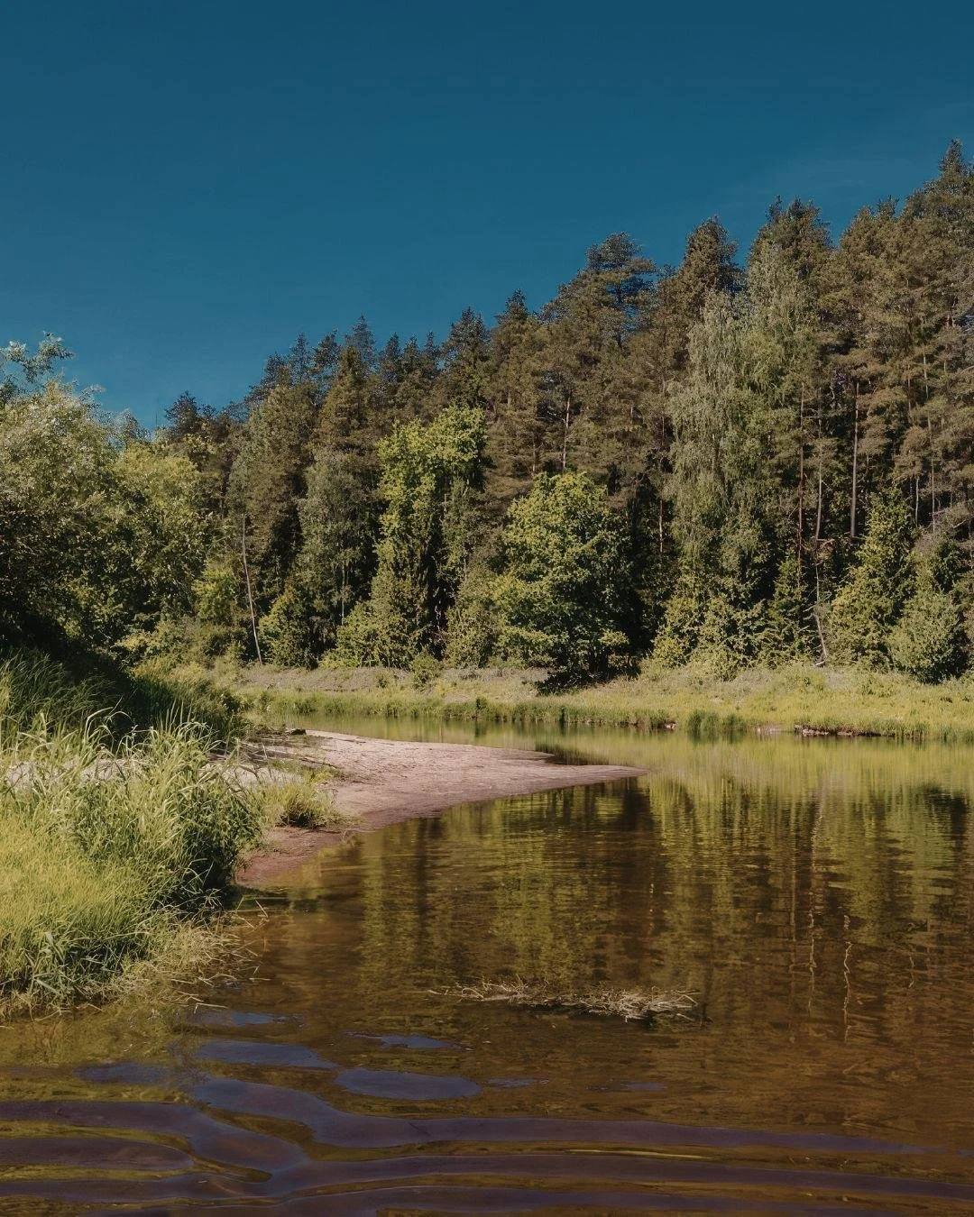 Did you know the rarest material in the universe is wood? 
A stunning fact that makes sense when you think about it for a moment.

The trees around us are miraculous, living, breathing parts of our ecosystem.
When you hug them, they can feel it.
They