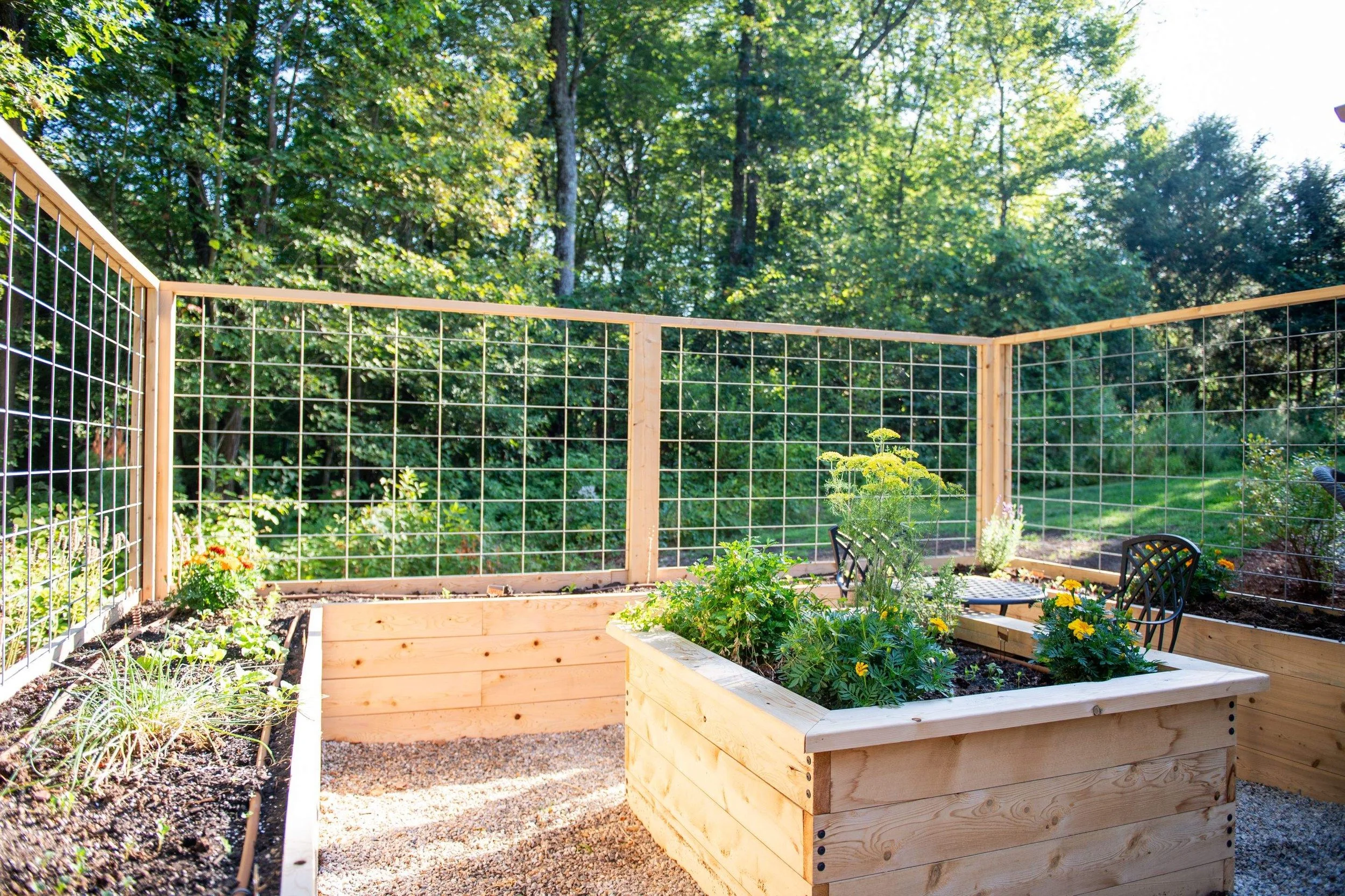 What do I do in the garden in June?