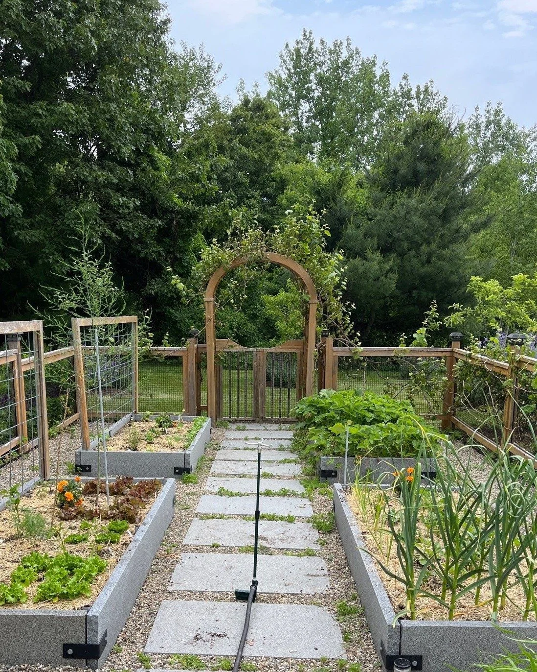 Memorial Day is a great time to plant, but it's a bit more nuanced than 'green means go'...

True or False?

- You should wait until Memorial Day to plant your veggies

False! Many cool-season crops (like lettuce and peas) should be planted earlier. 