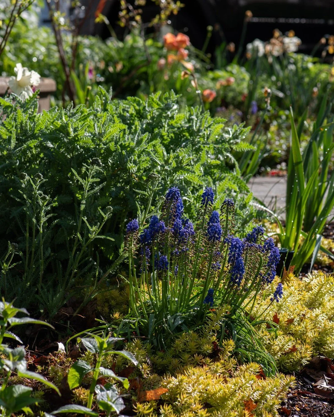 Your landscape should do more than just look nice.

Raised beds full of food. Young fruit trees growing year by year. Native flowers buzzing with pollinators. Space for kids to play, explore, and connect with the outdoors.

We love helping families t
