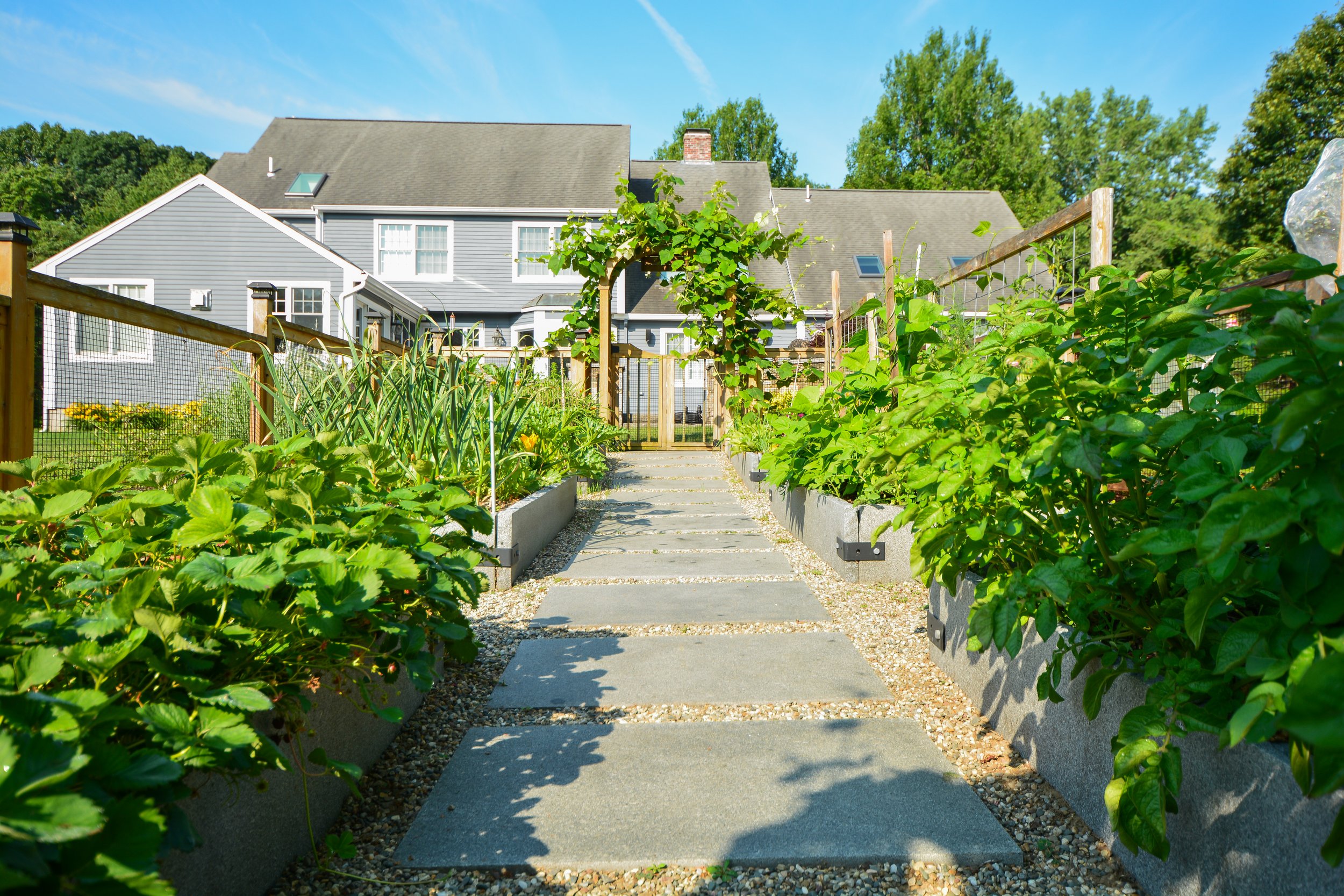 What do I do in the garden in August?