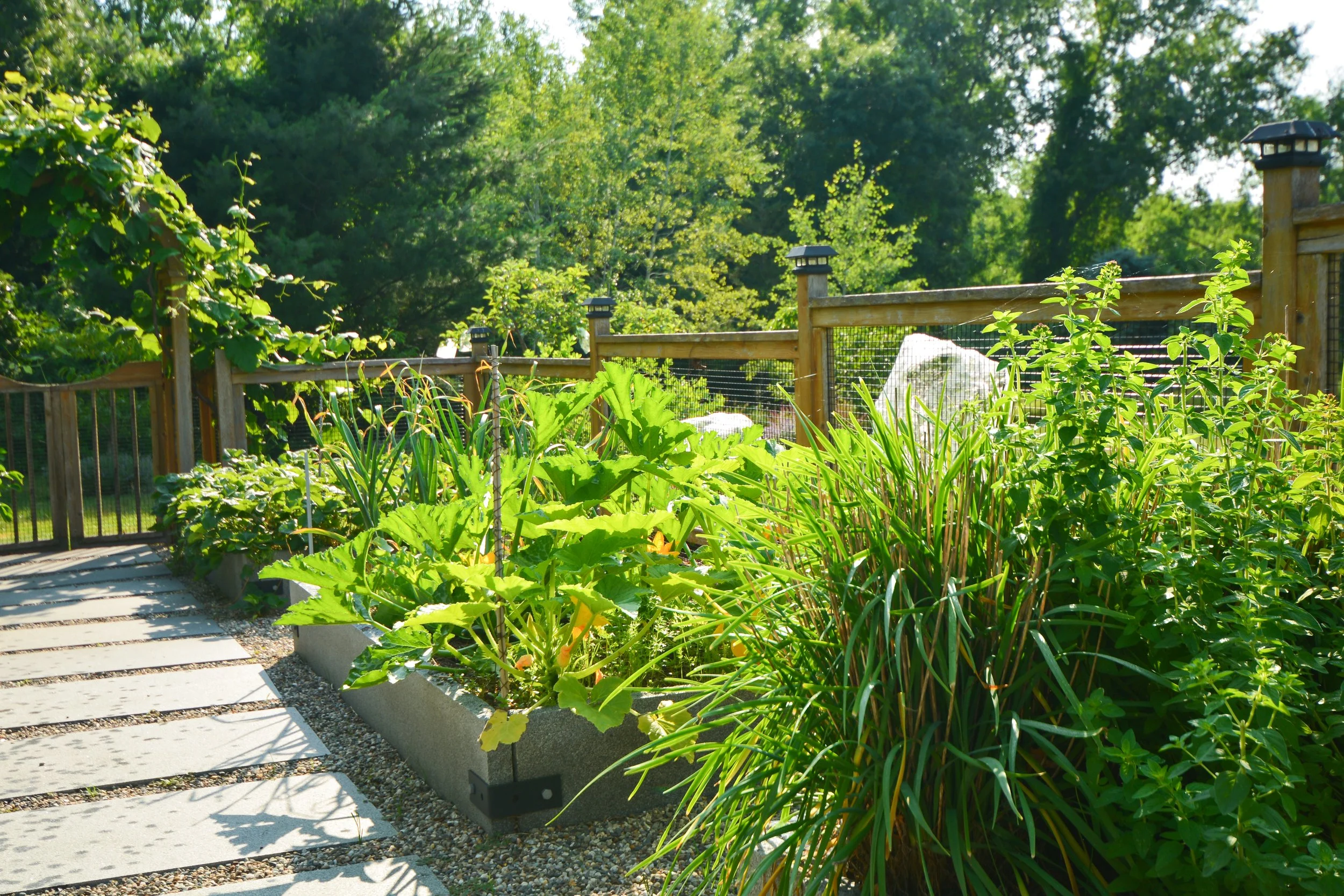 What do I do in the garden in September?